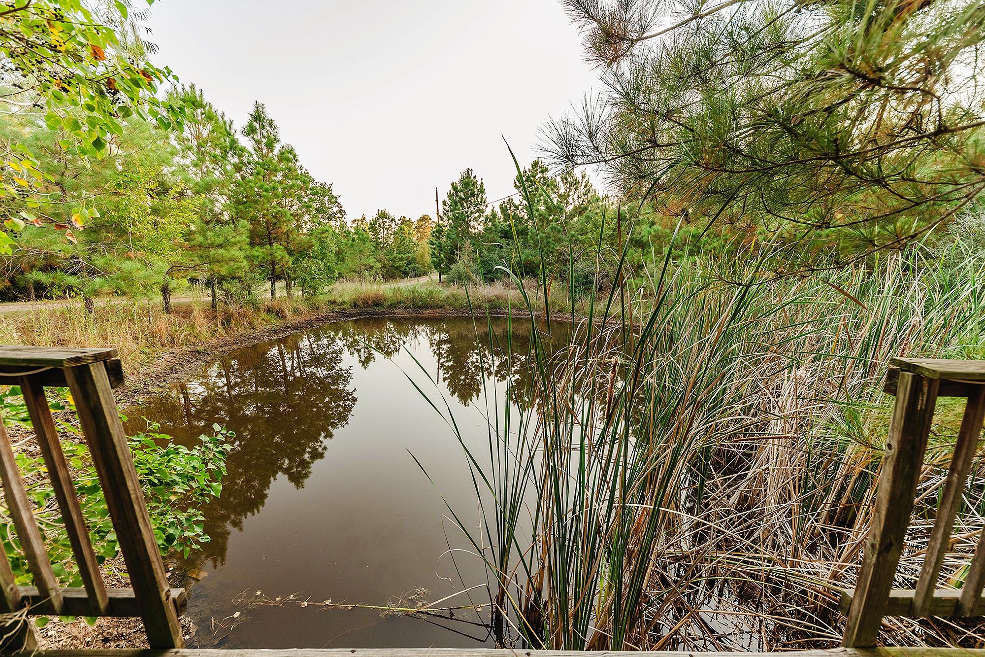 139 Village Forest Dr, Smithville, TX 78957