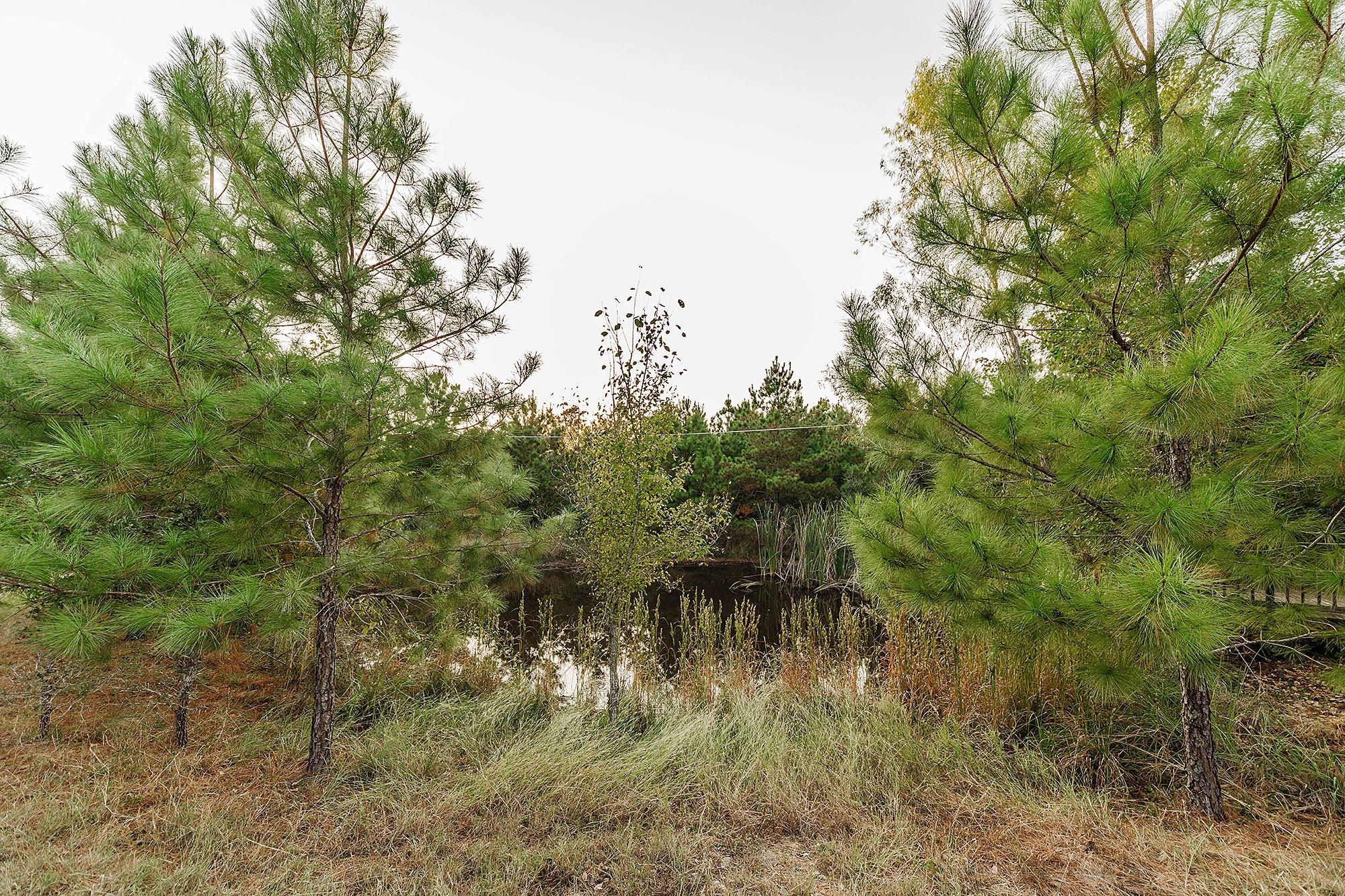 139 Village Forest Dr, Smithville, TX 78957