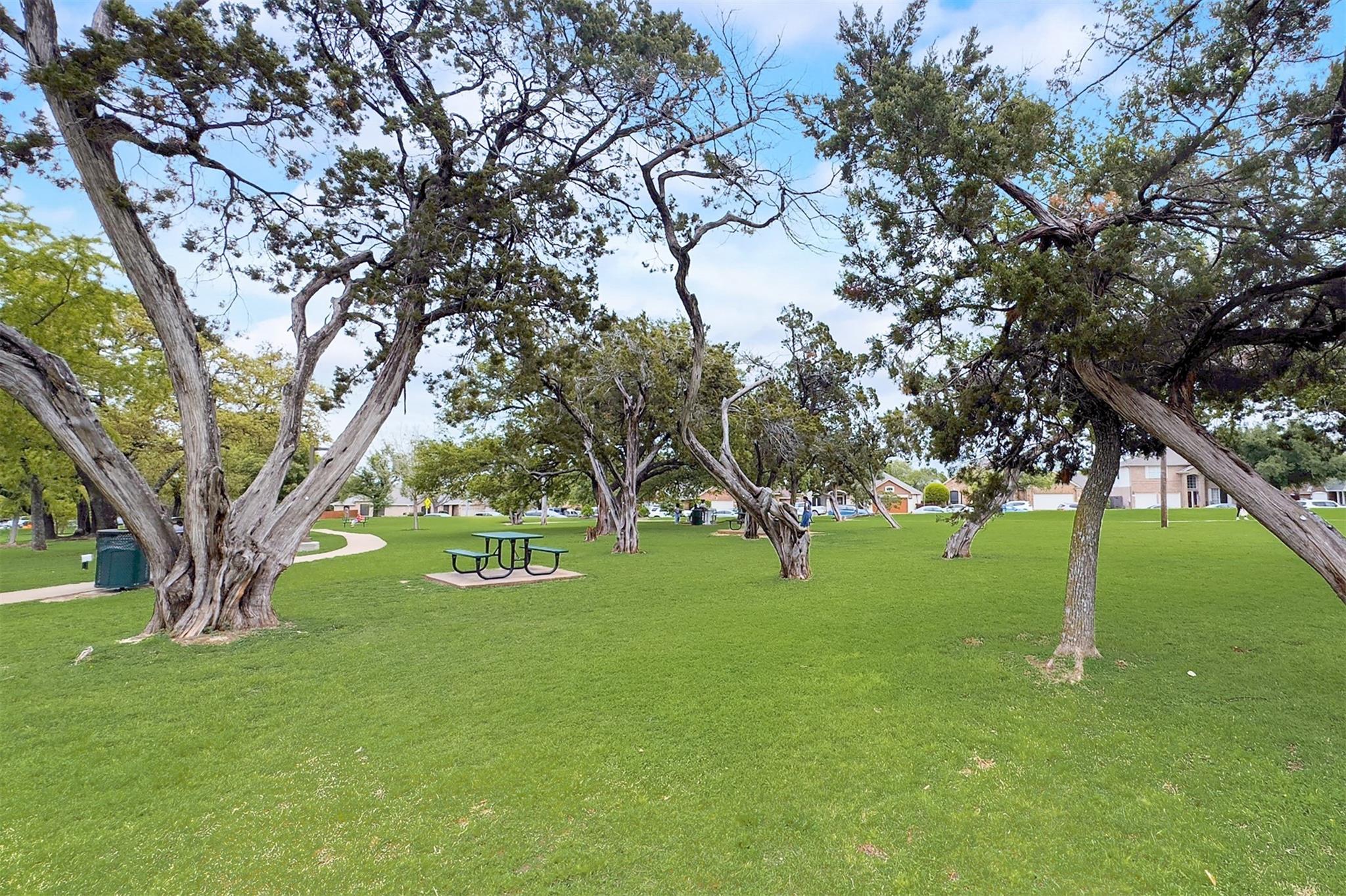 15919 Two Rivers Cv, Austin, TX 78717