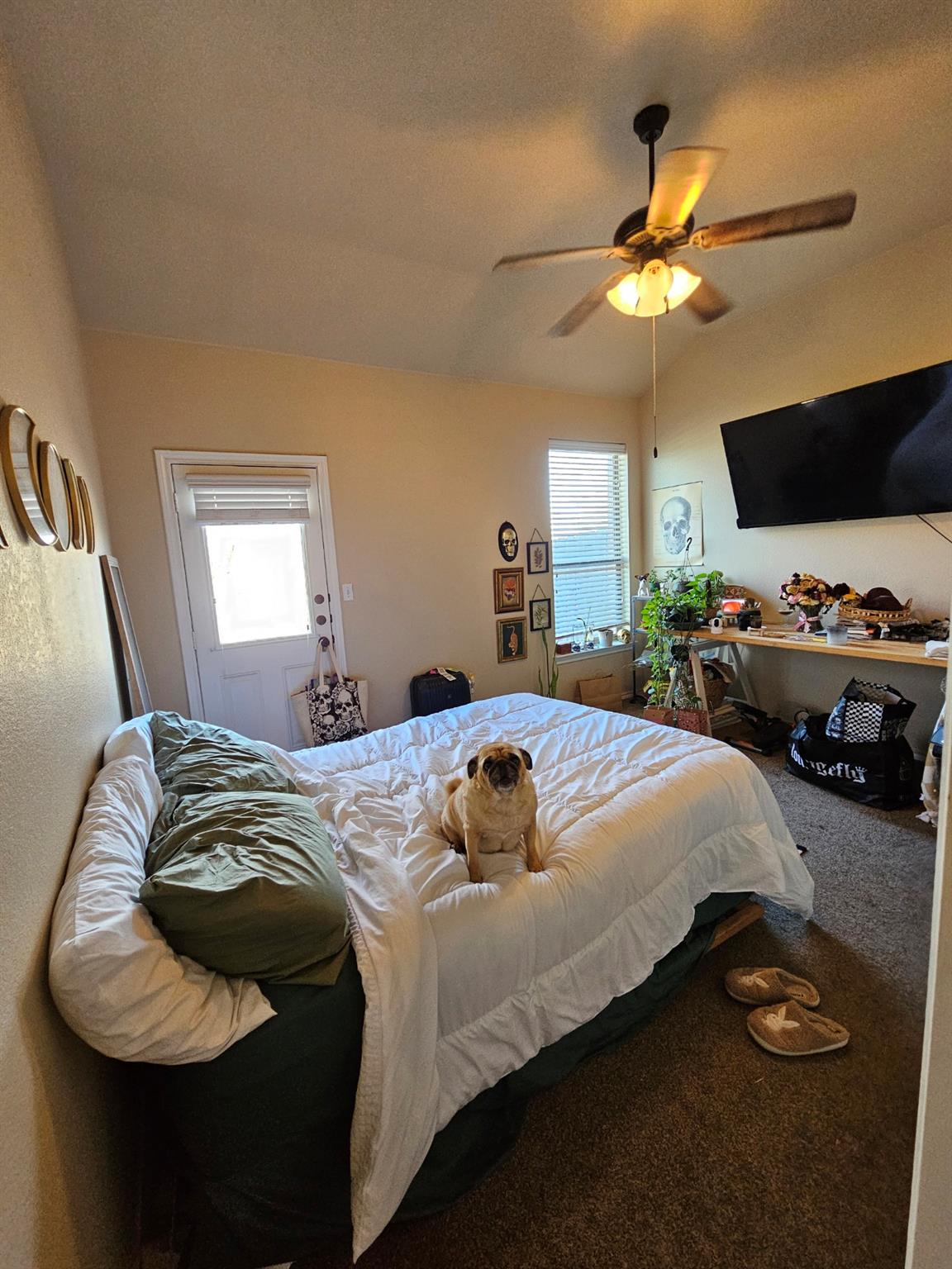 101 Creekside Villa Dr, Kyle, TX 78640