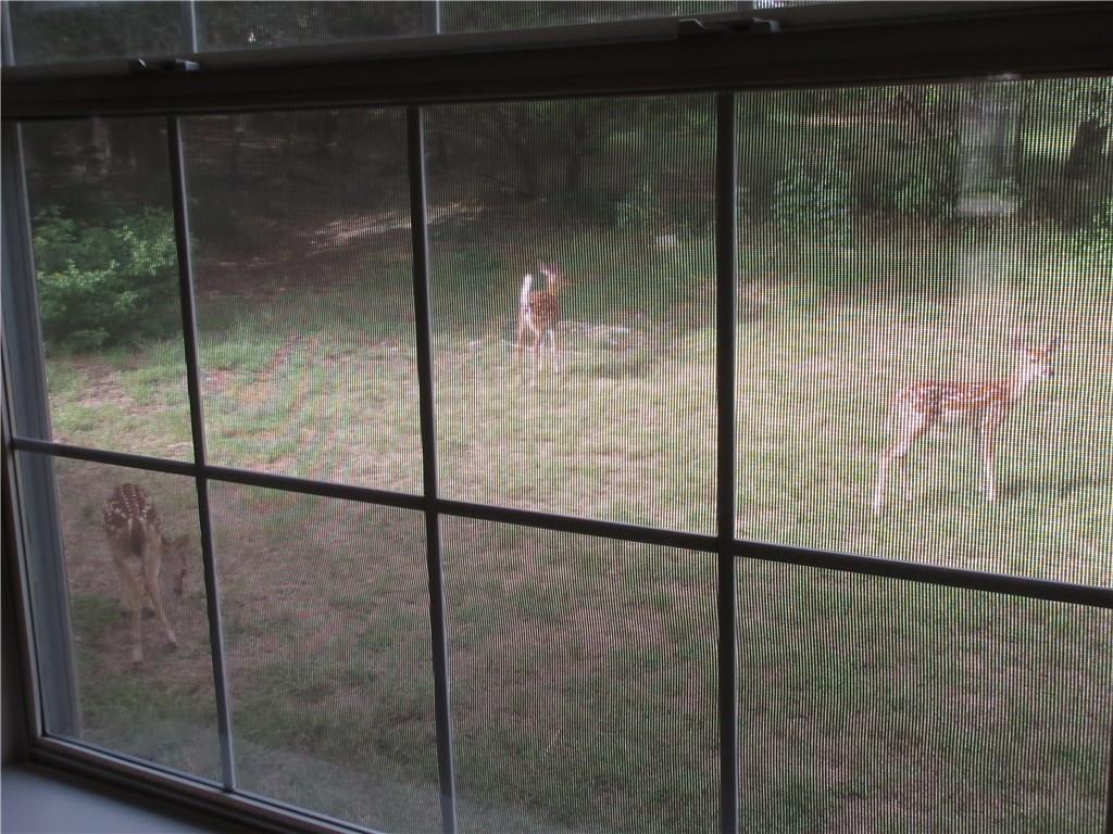 2405 Farragret Cv, Lago Vista, TX 78645