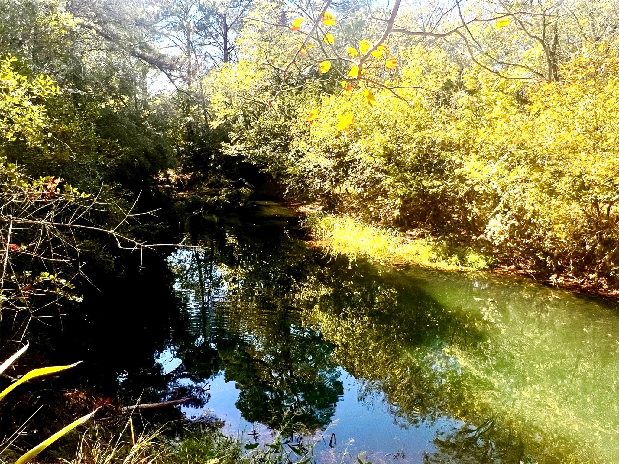 411 Laura Ln, Bastrop, TX 78602