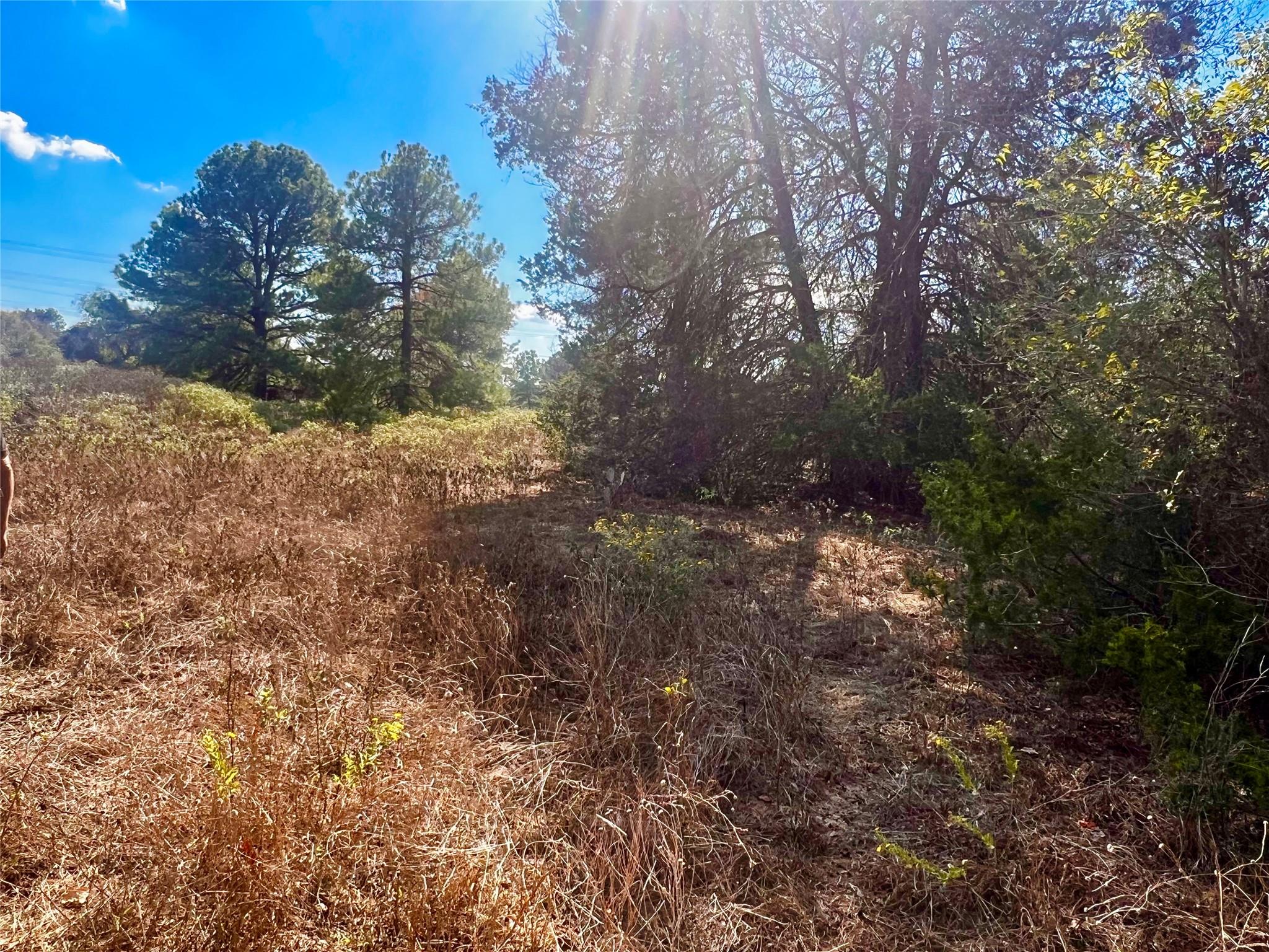 411 Laura Ln, Bastrop, TX 78602