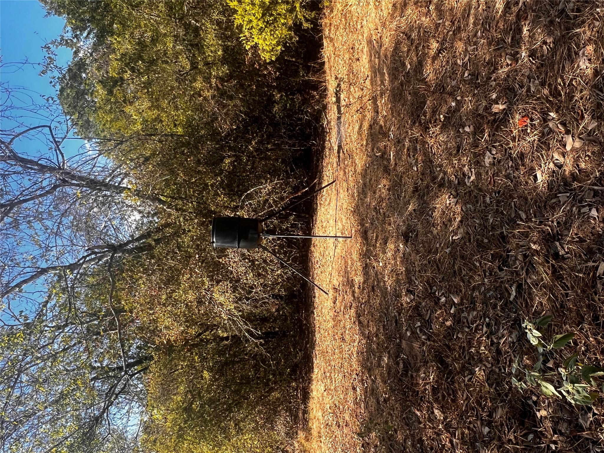 411 Laura Ln, Bastrop, TX 78602