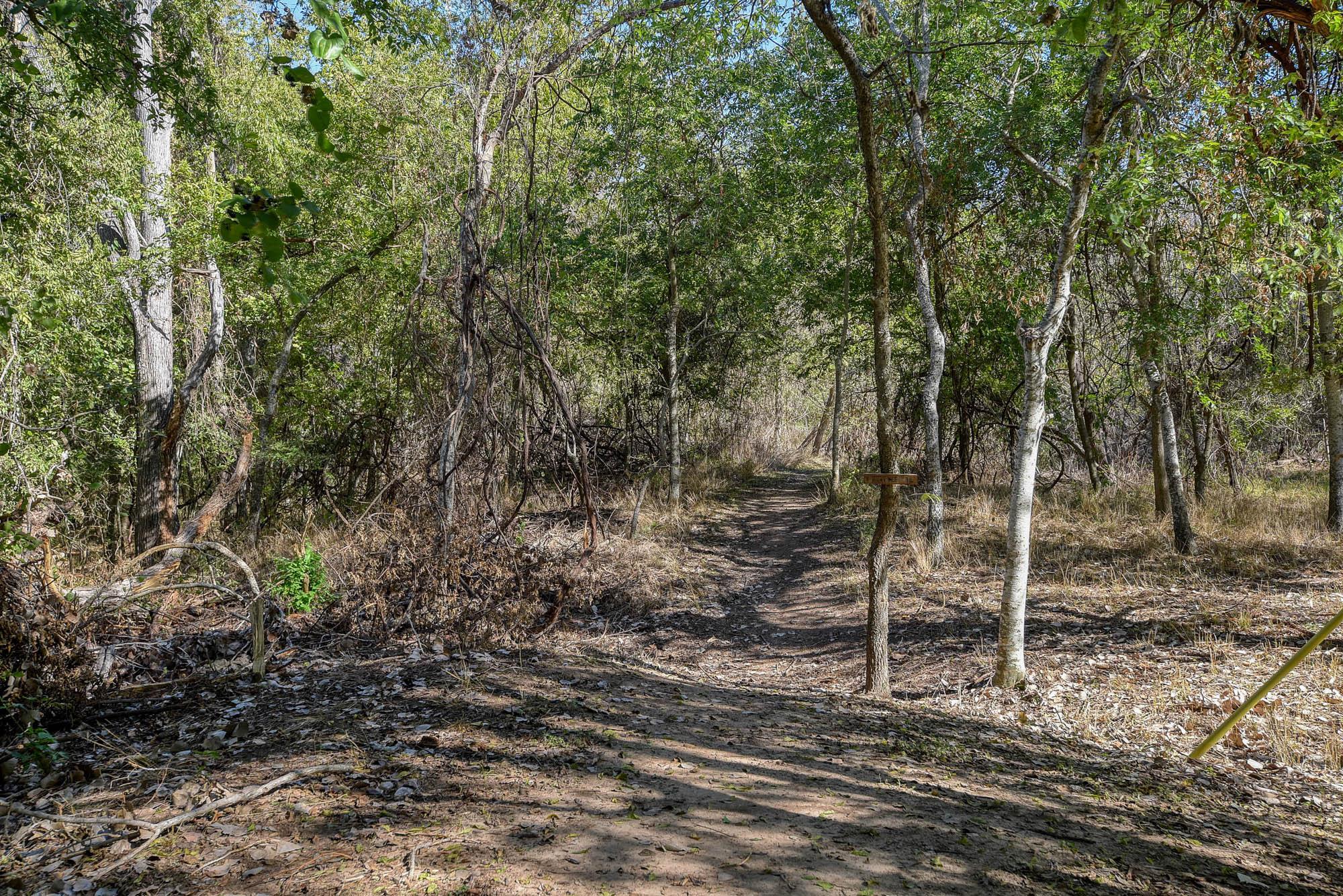 415 Patton Cv, Bastrop, TX 78602