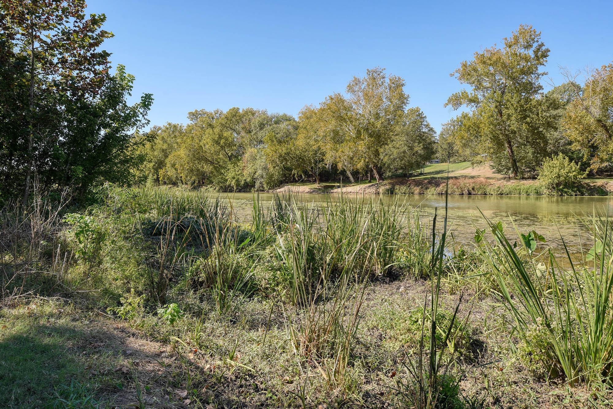 415 Patton Cv, Bastrop, TX 78602