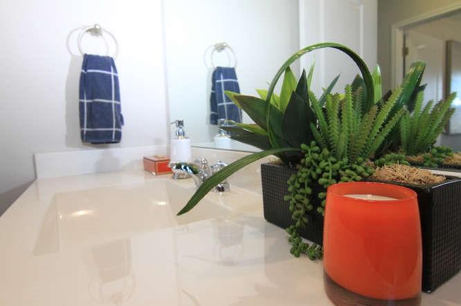 708 Tinton Falls Ln, Pflugerville, TX 78660