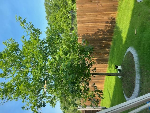 14110 Luisium Vw # 72, Pflugerville, TX 78660