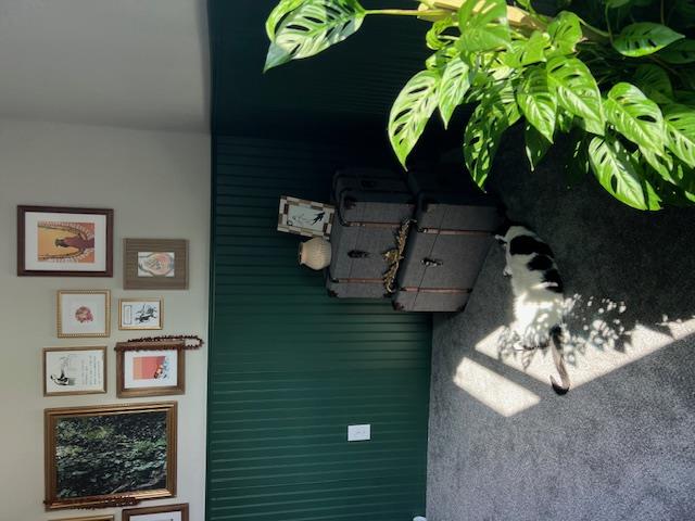 14110 Luisium Vw # 72, Pflugerville, TX 78660