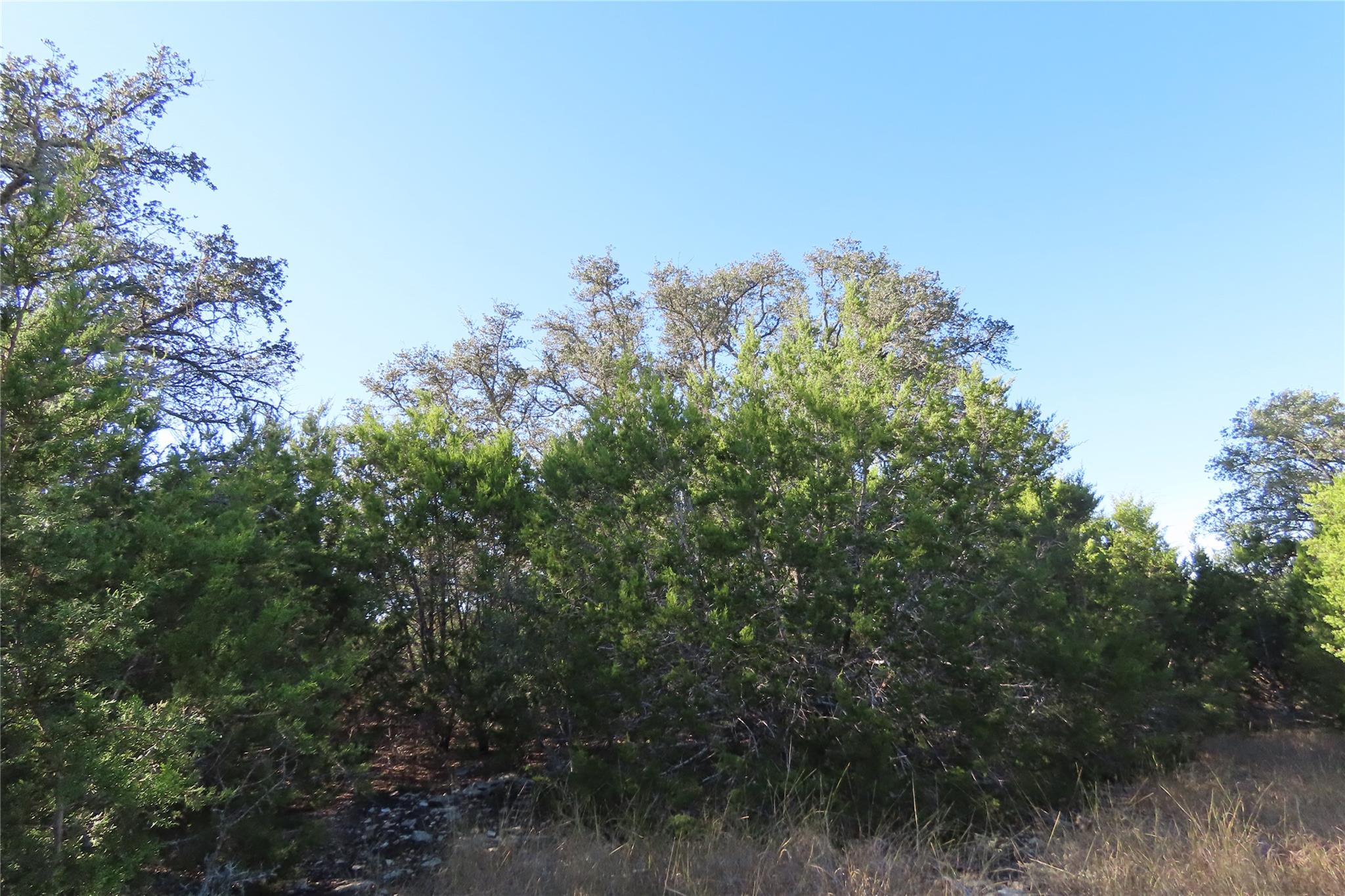 317 Little Gabriel River Dr, Liberty Hill, TX 78642