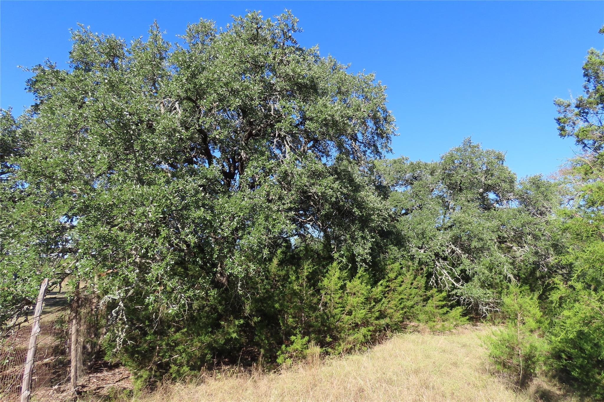 317 Little Gabriel River Dr, Liberty Hill, TX 78642