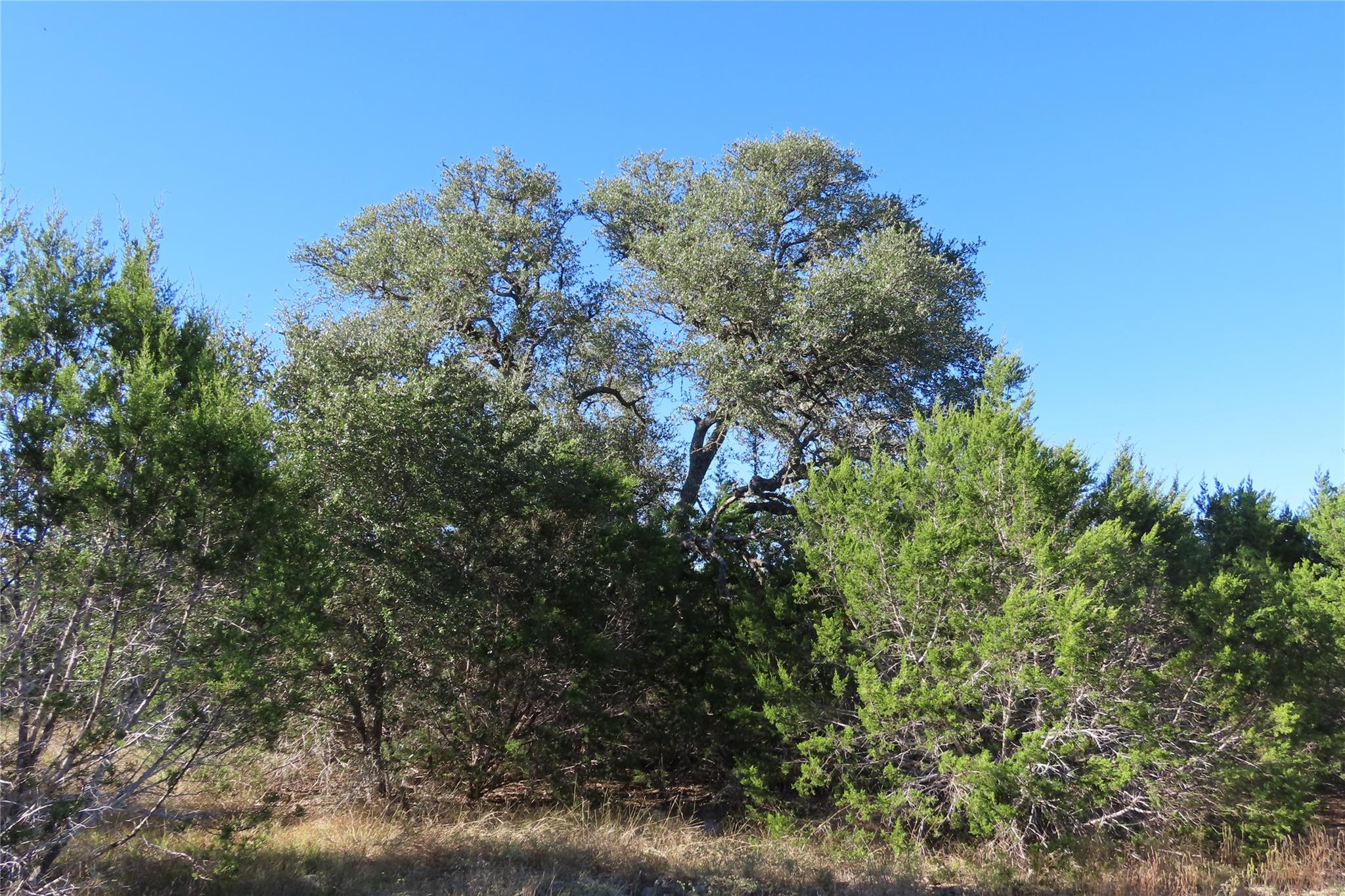 317 Little Gabriel River Dr, Liberty Hill, TX 78642