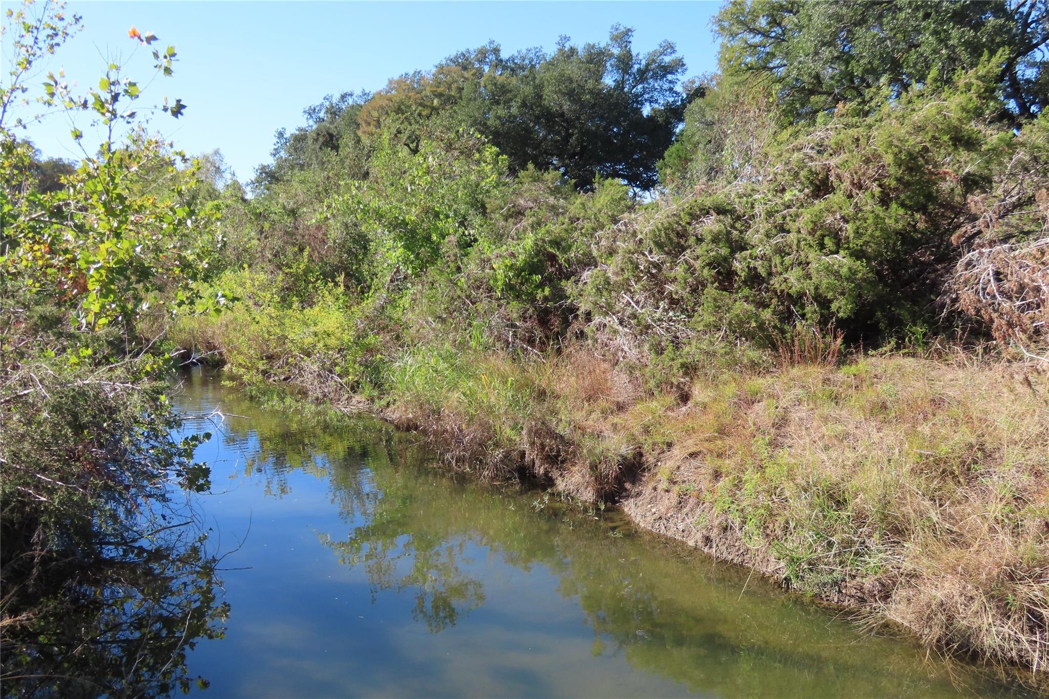 317 Little Gabriel River Dr, Liberty Hill, TX 78642