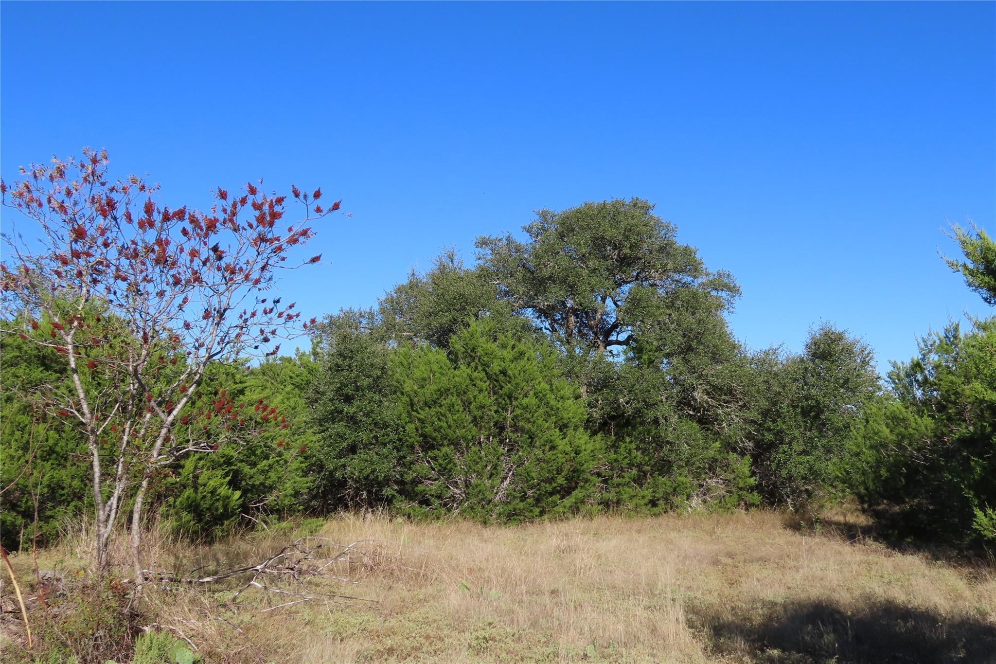 317 Little Gabriel River Dr, Liberty Hill, TX 78642