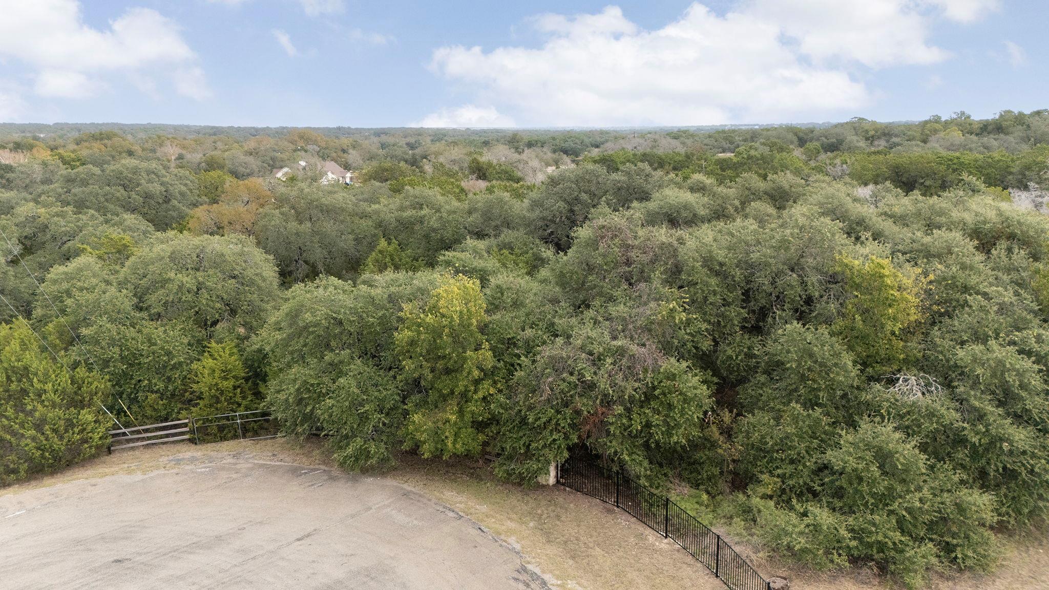 317 Little Gabriel River Dr, Liberty Hill, TX 78642