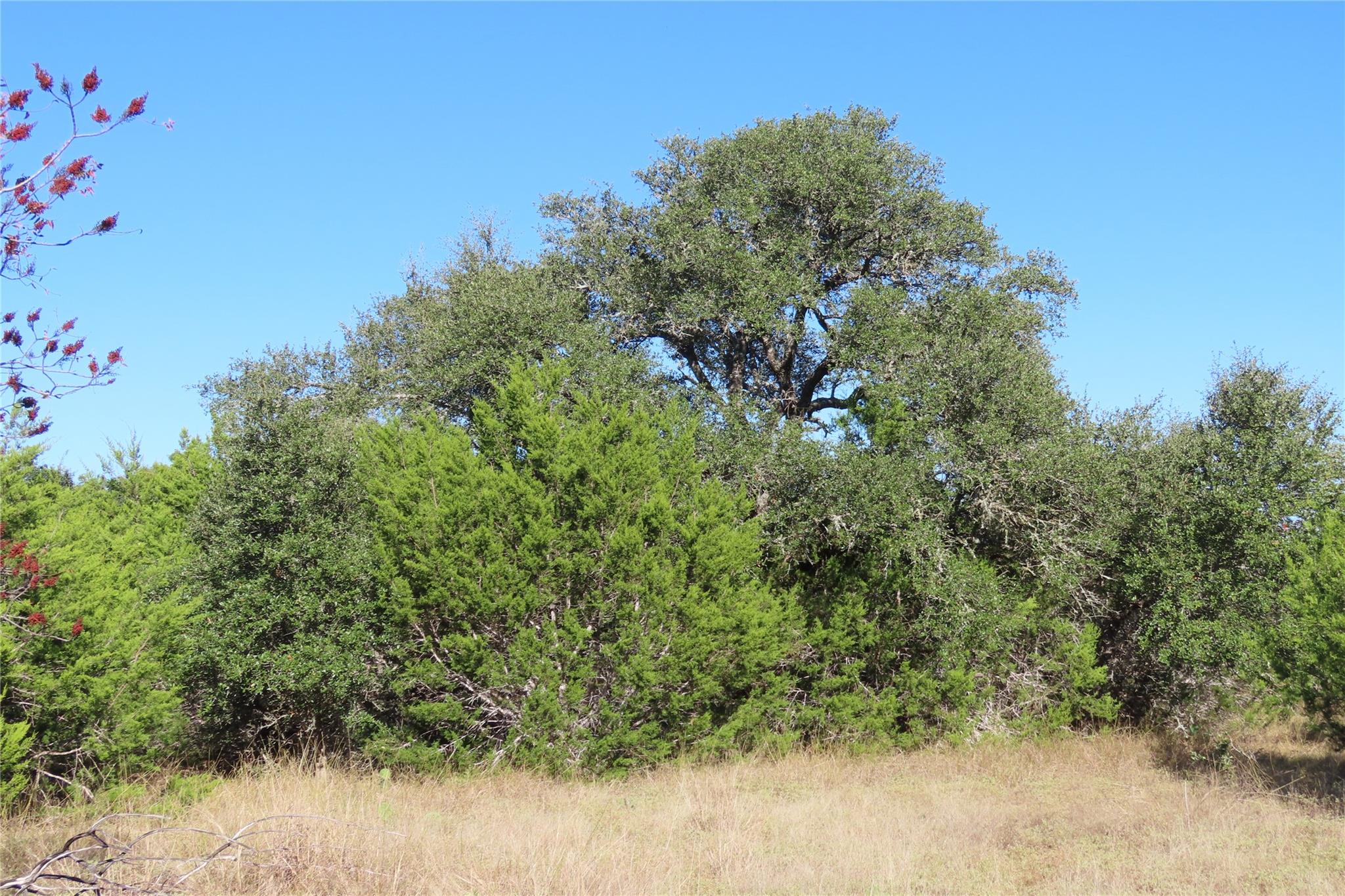 317 Little Gabriel River Dr, Liberty Hill, TX 78642