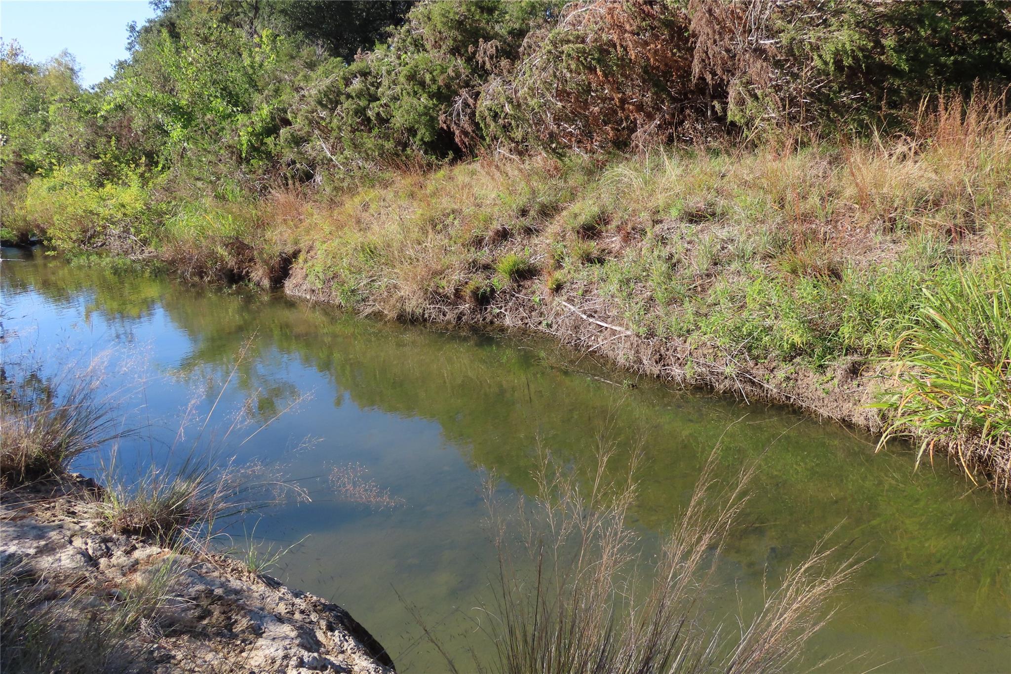 317 Little Gabriel River Dr, Liberty Hill, TX 78642