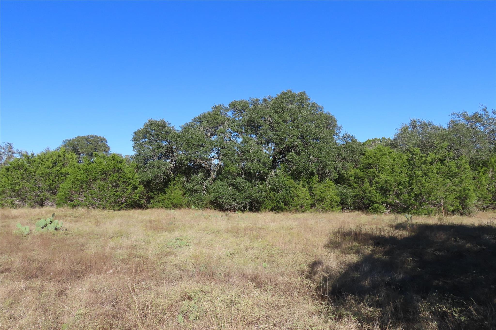 317 Little Gabriel River Dr, Liberty Hill, TX 78642