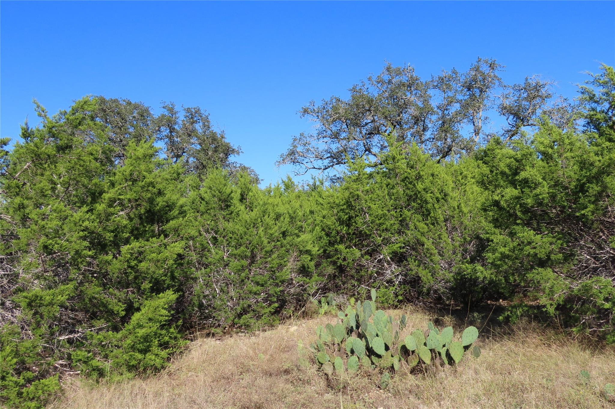 317 Little Gabriel River Dr, Liberty Hill, TX 78642