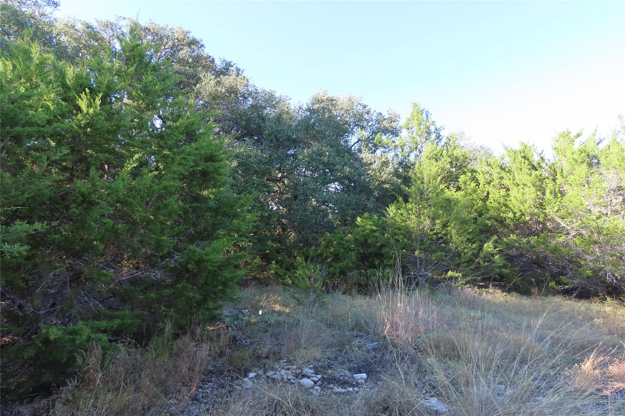 317 Little Gabriel River Dr, Liberty Hill, TX 78642