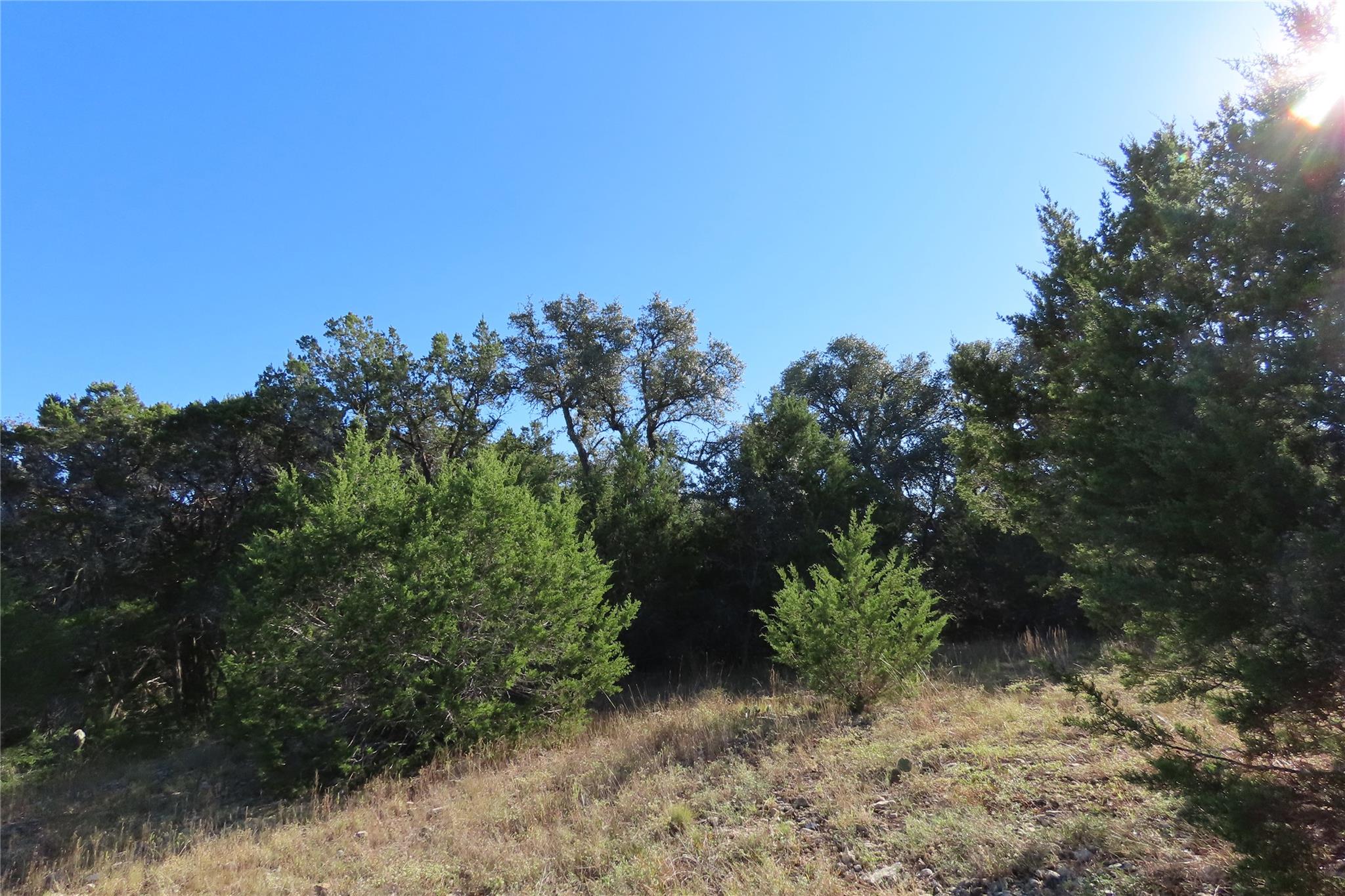 317 Little Gabriel River Dr, Liberty Hill, TX 78642