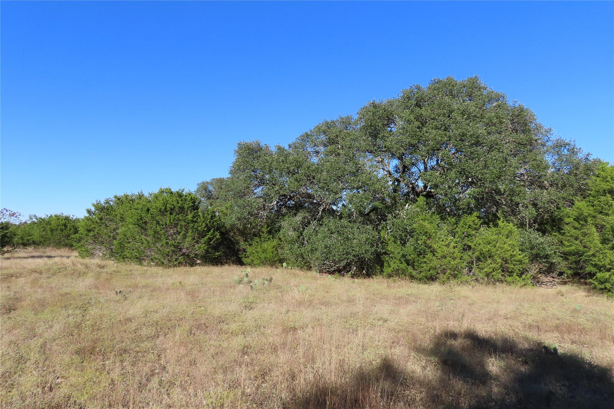 317 Little Gabriel River Dr, Liberty Hill, TX 78642