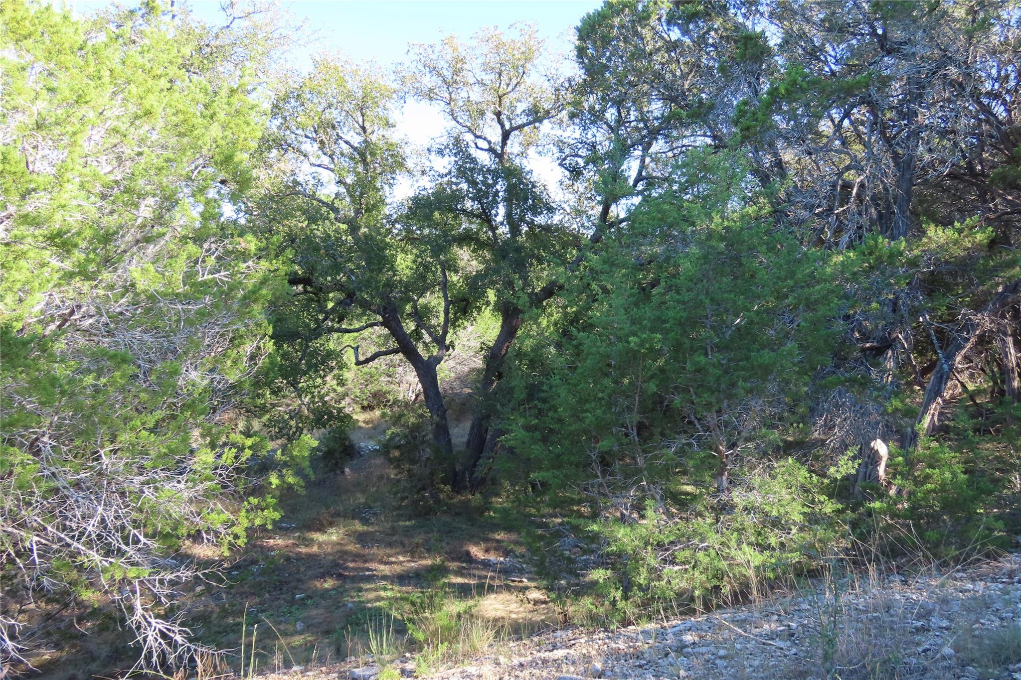 317 Little Gabriel River Dr, Liberty Hill, TX 78642