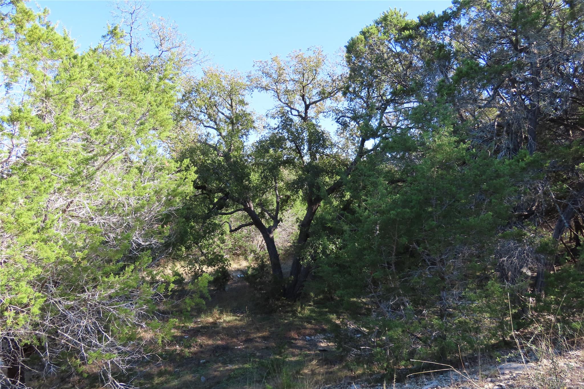 317 Little Gabriel River Dr, Liberty Hill, TX 78642