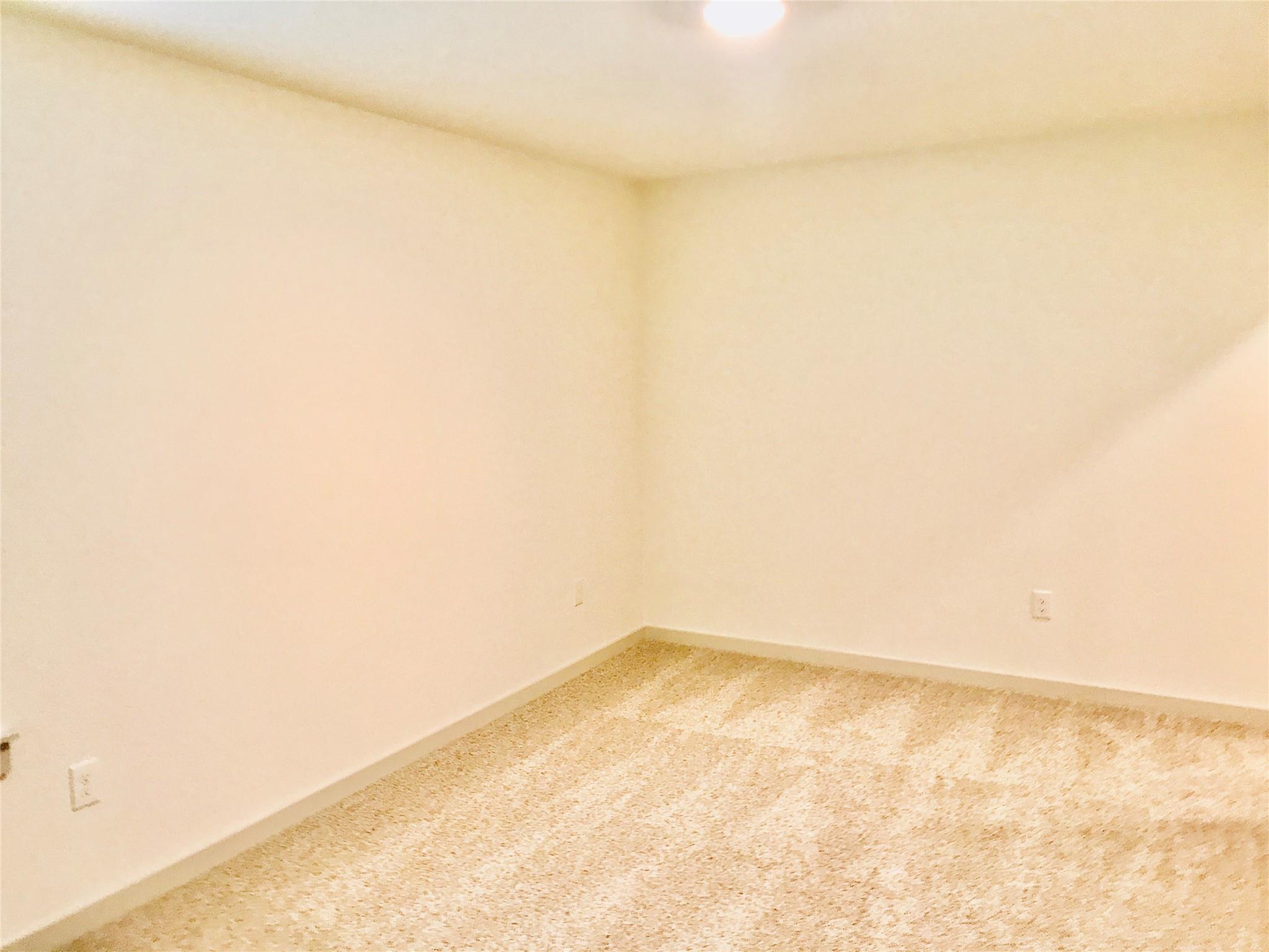 14104 Sage Blossom Dr, Manor, TX 78653