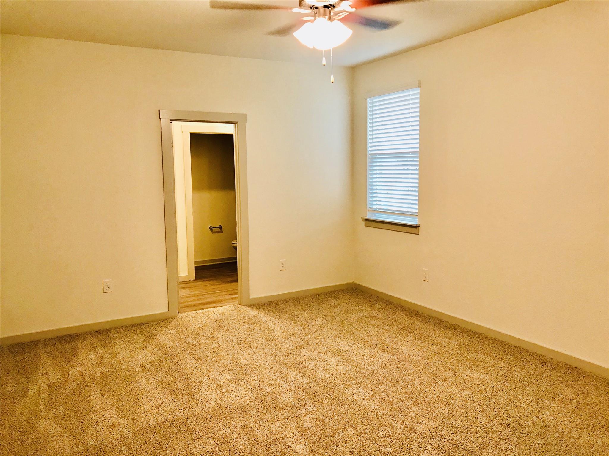 14104 Sage Blossom Dr, Manor, TX 78653