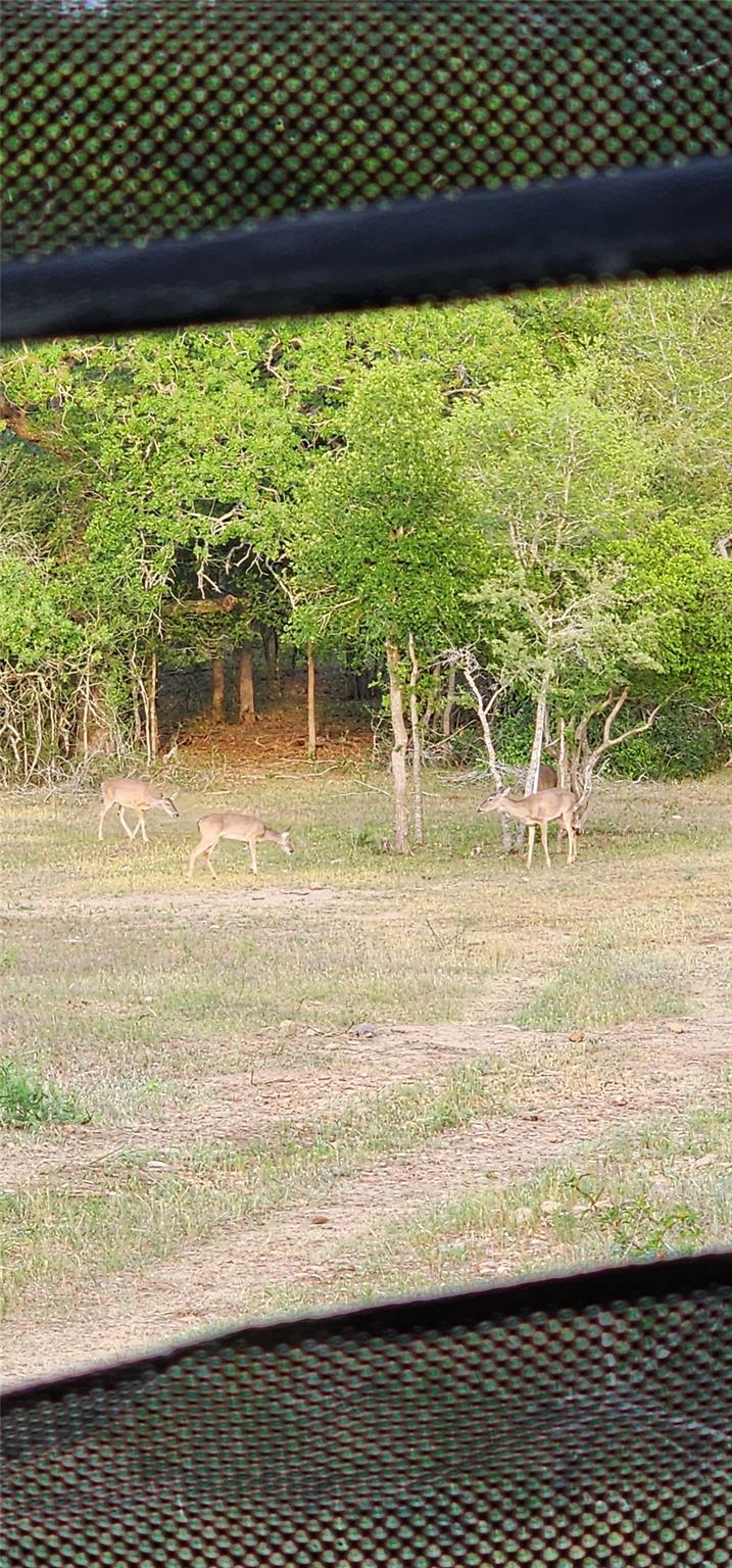 2354 Fm 2438, Seguin, TX 78155