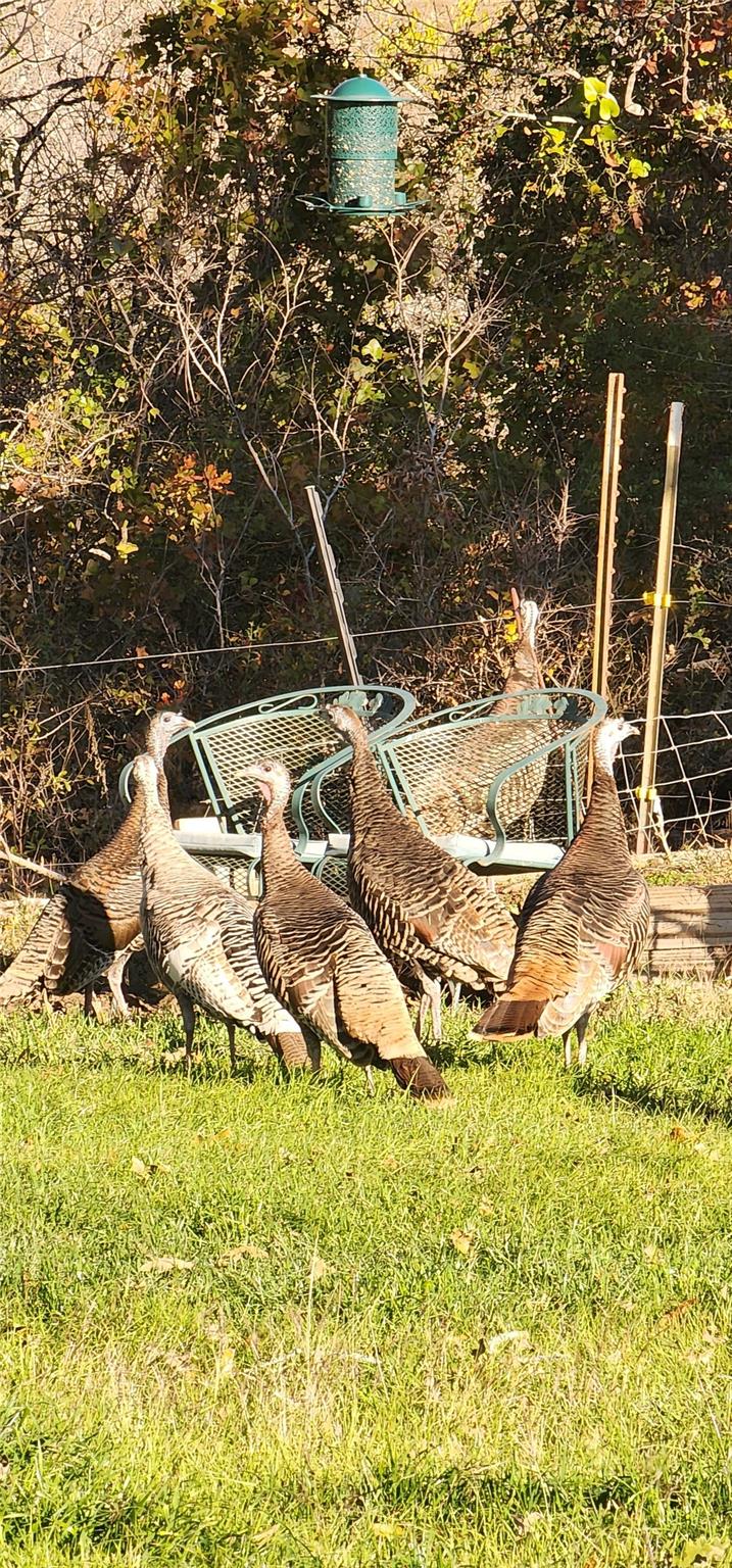 2354 Fm 2438, Seguin, TX 78155