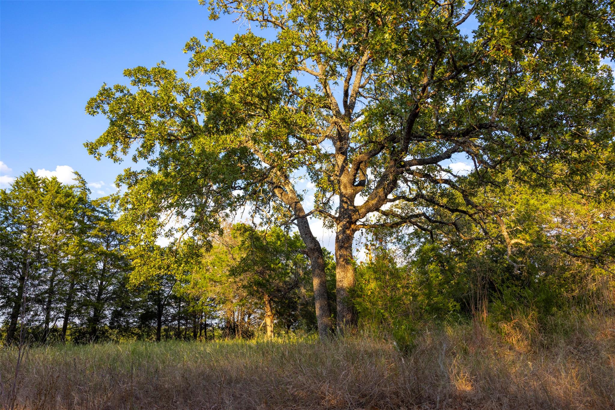 1400 Fm 535, Smithville, TX 78957