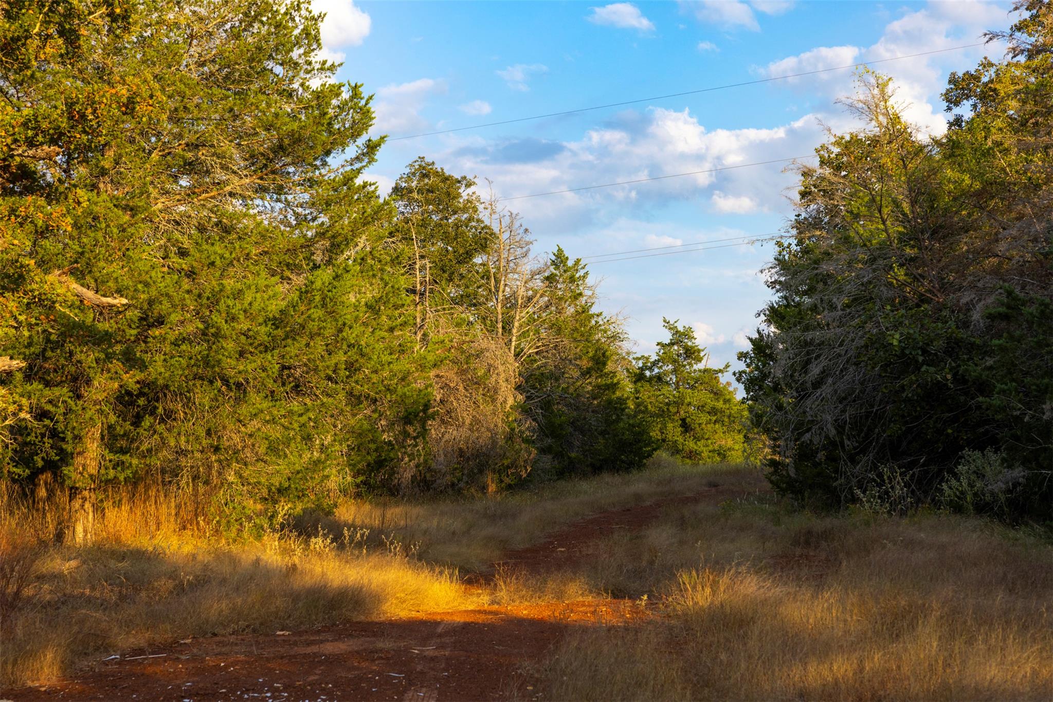 1400 Fm 535, Smithville, TX 78957