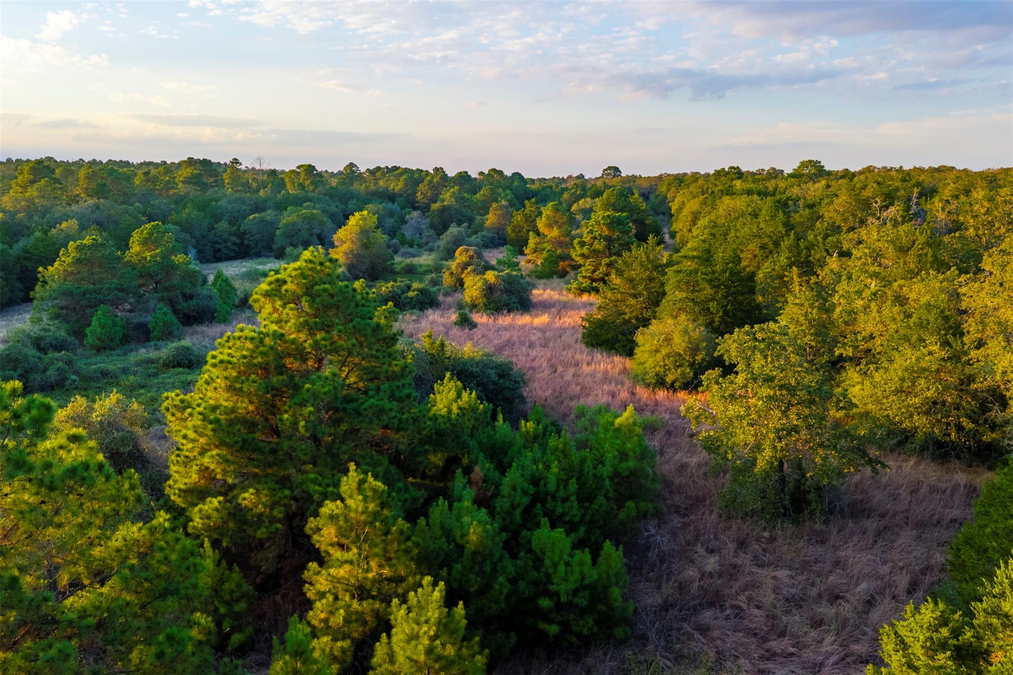 1400 Fm 535, Smithville, TX 78957