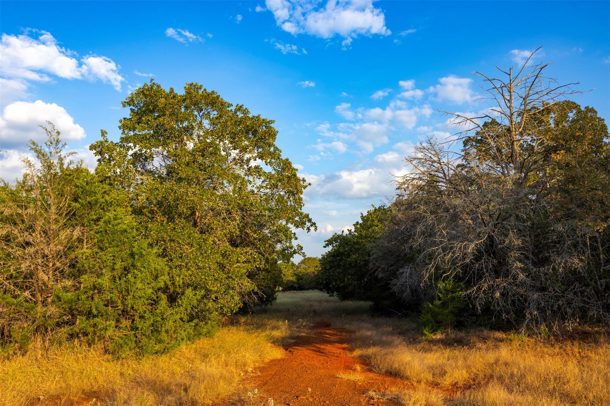 1400 Fm 535, Smithville, TX 78957