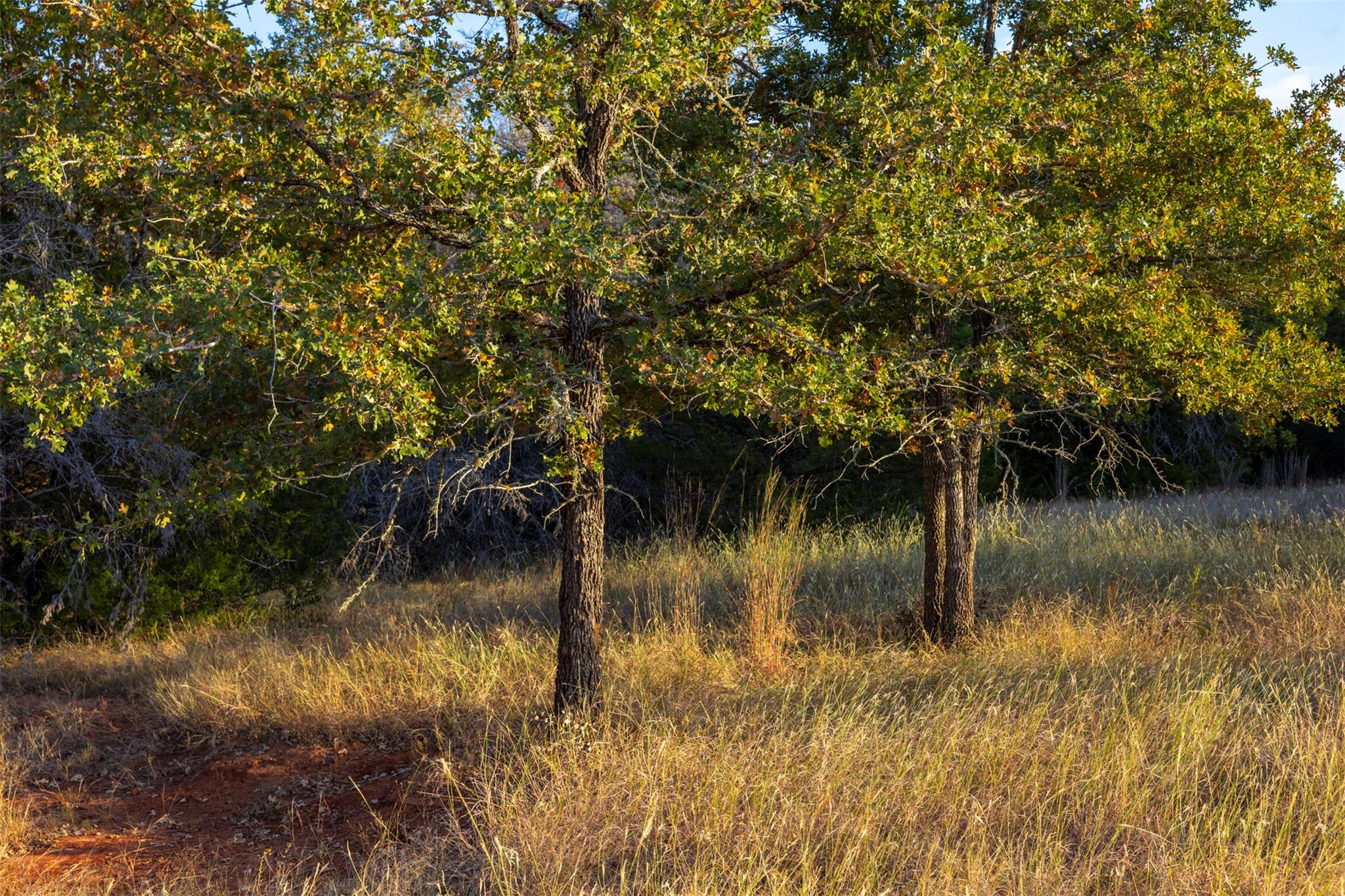 1400 Fm 535, Smithville, TX 78957