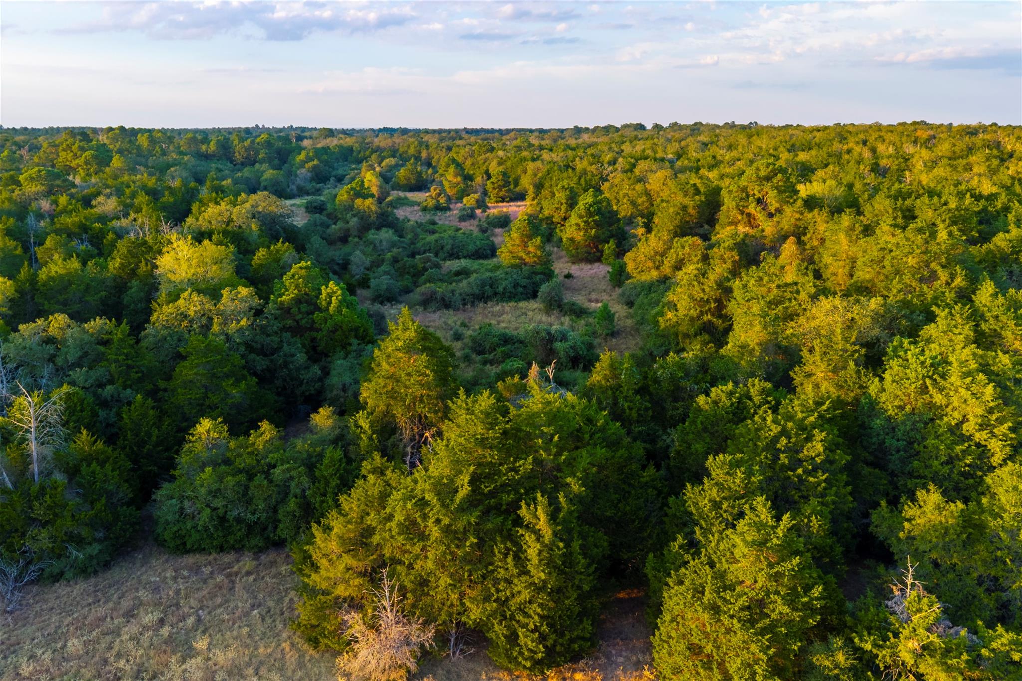 1400 Fm 535, Smithville, TX 78957