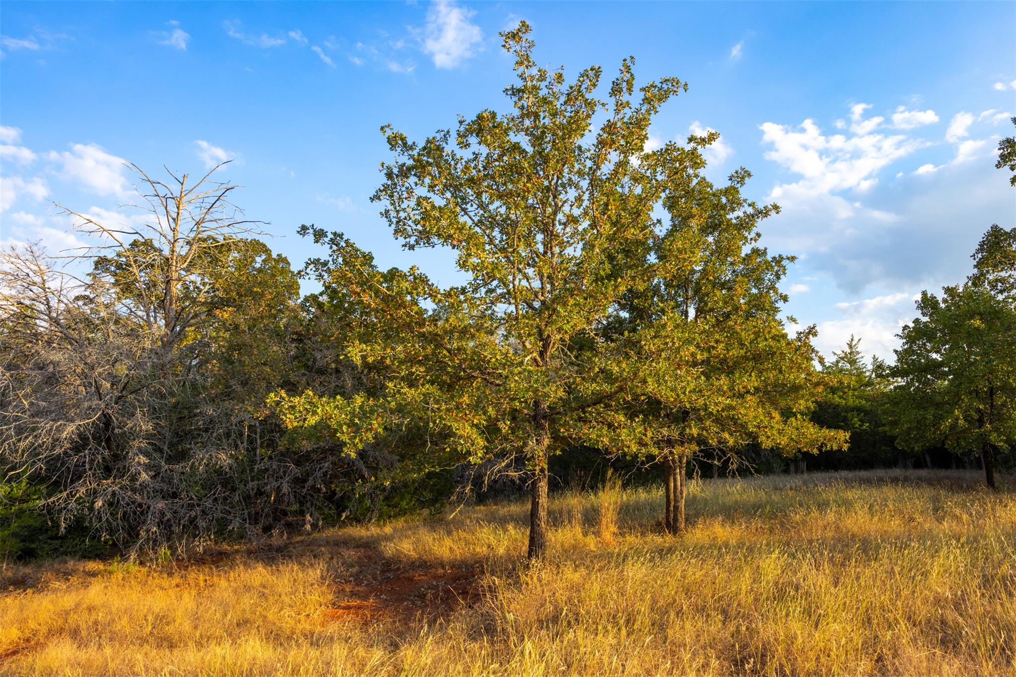 1400 Fm 535, Smithville, TX 78957