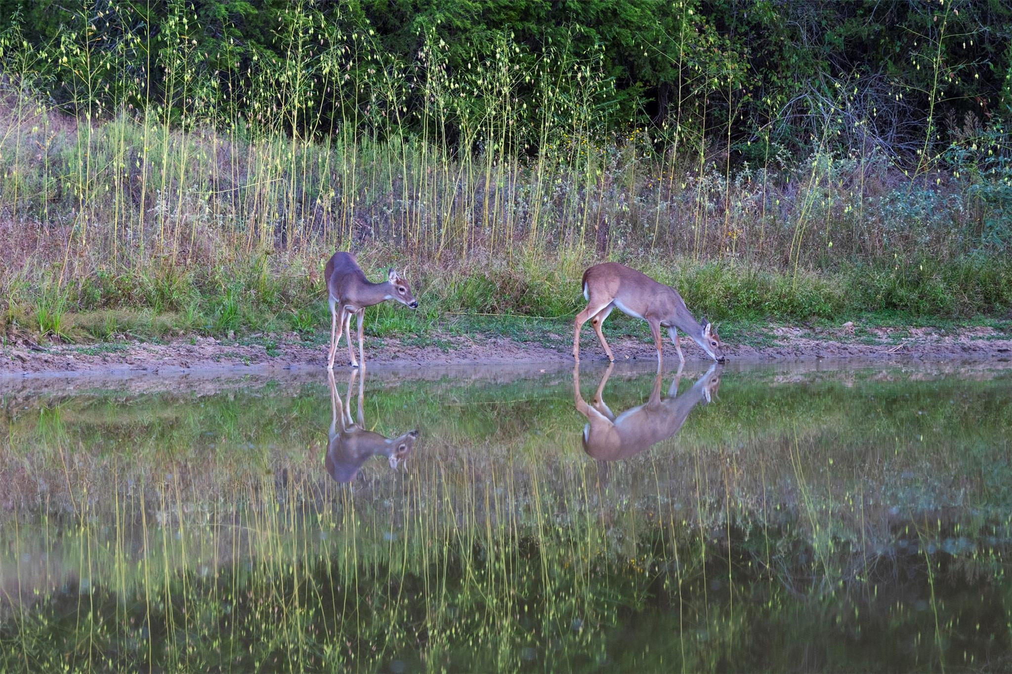 1400 Fm 535, Smithville, TX 78957