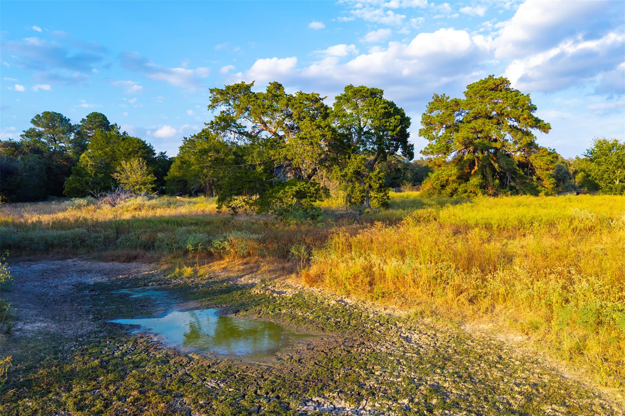 1400 Fm 535, Smithville, TX 78957