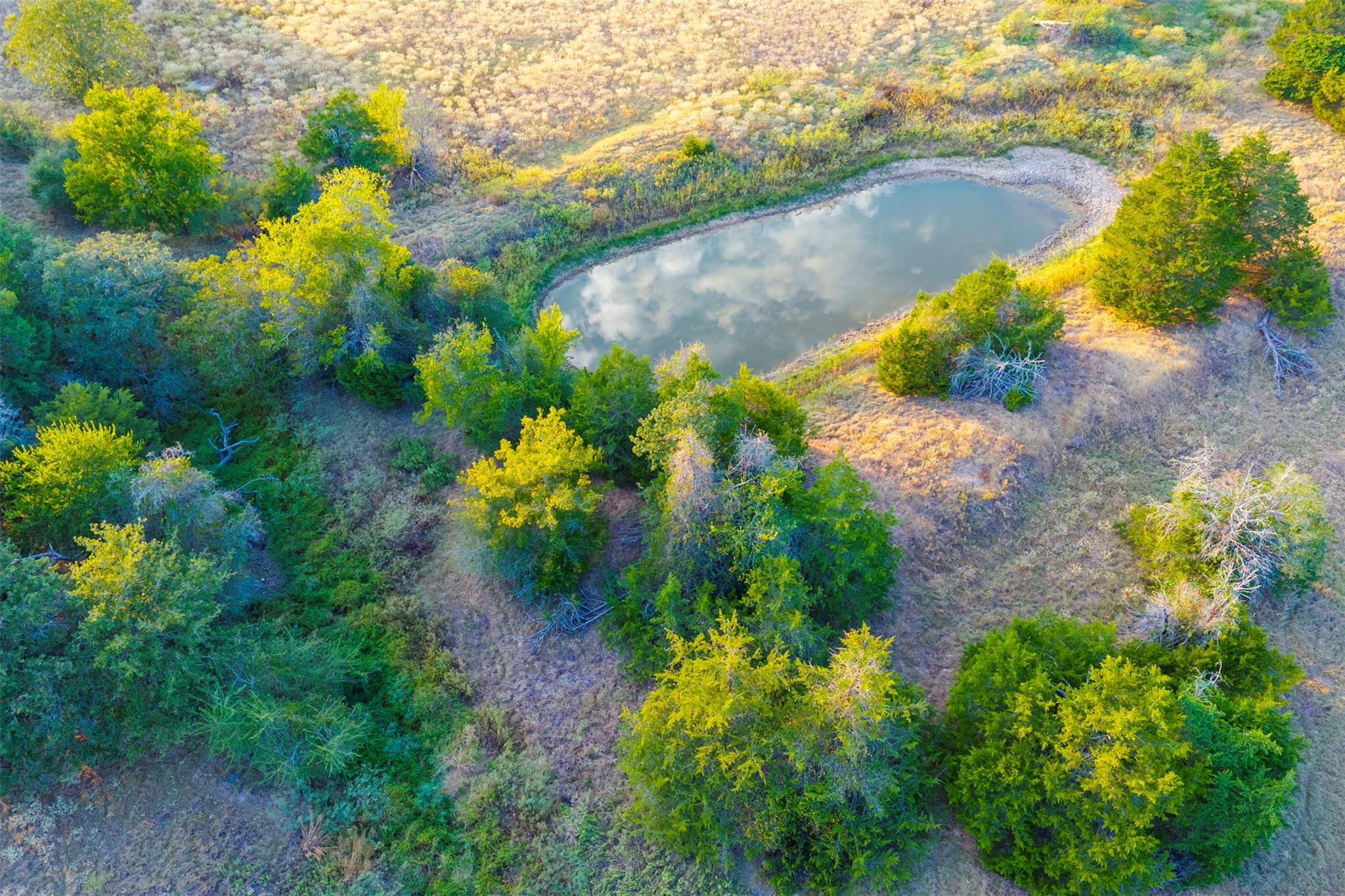 1400 Fm 535, Smithville, TX 78957