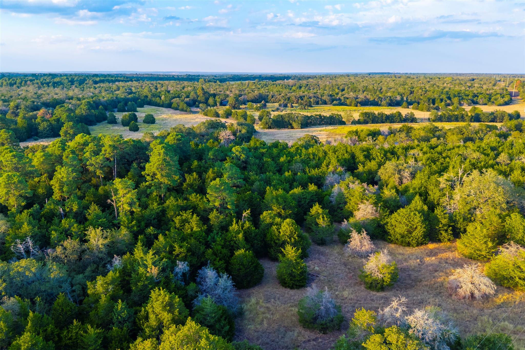 1400 Fm 535, Smithville, TX 78957