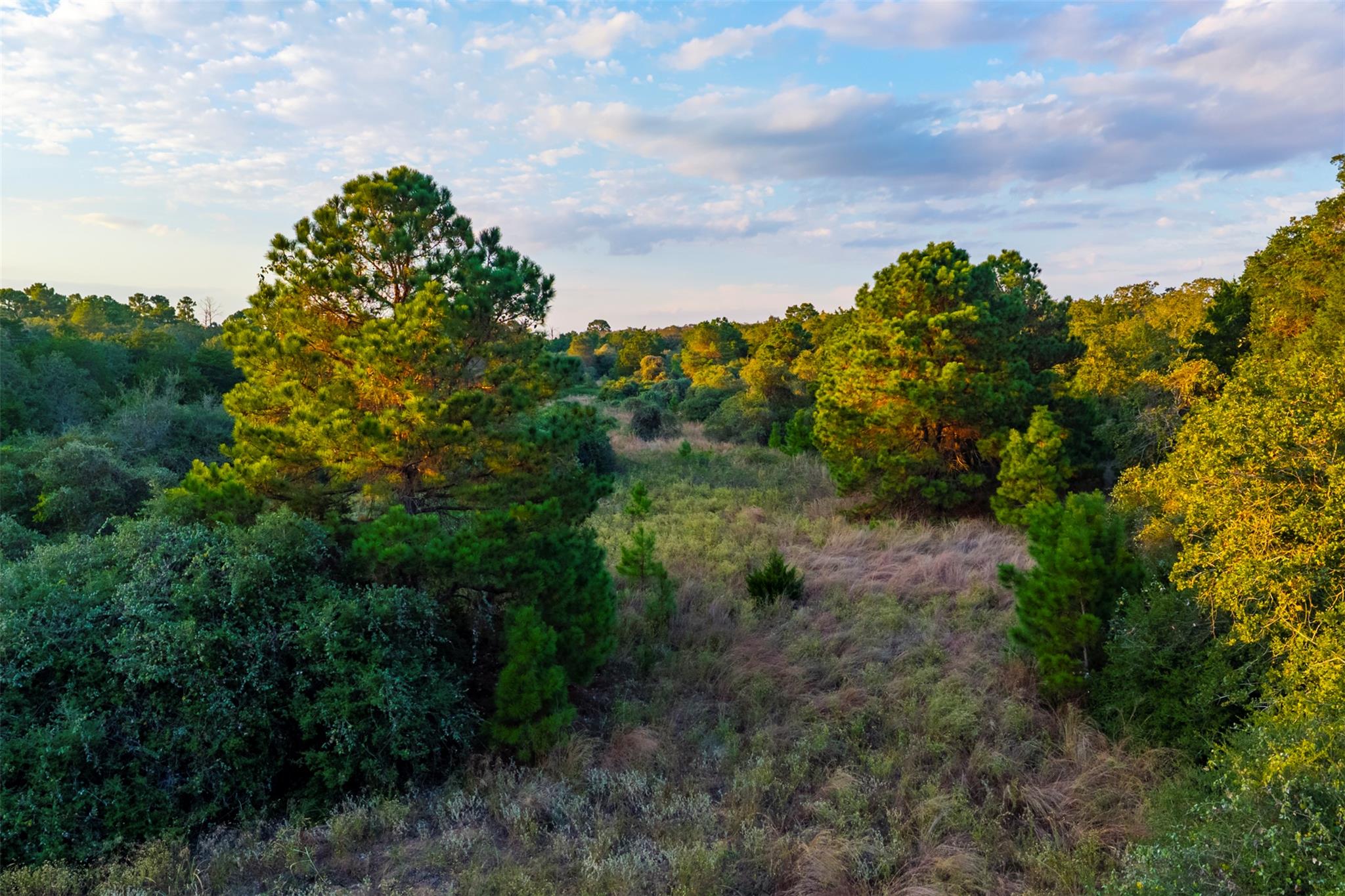 1400 Fm 535, Smithville, TX 78957