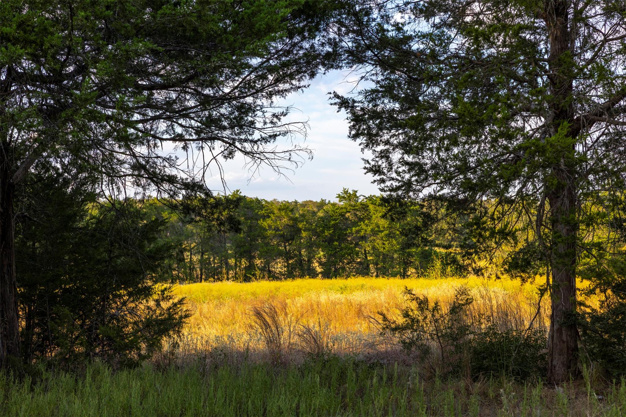 1400 Fm 535, Smithville, TX 78957