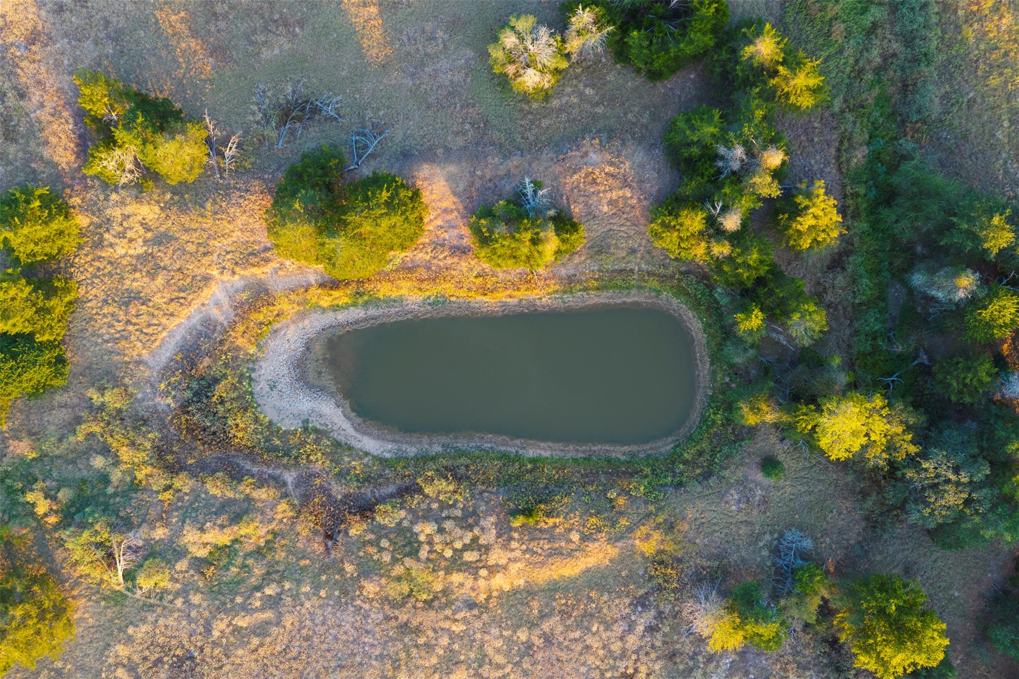 1400 Fm 535, Smithville, TX 78957