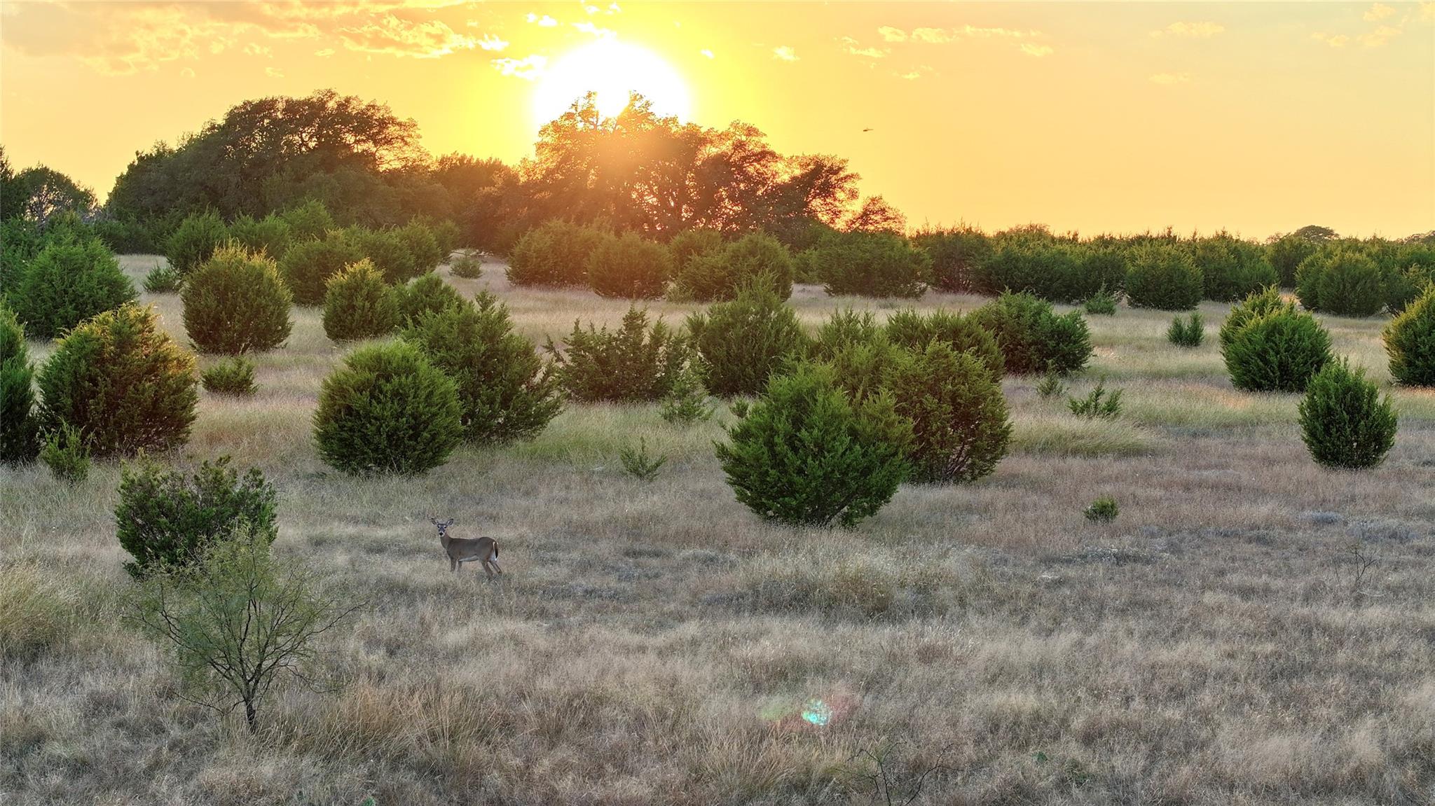 Lot 1 Bluestem Ln, Lampasas, TX 76550