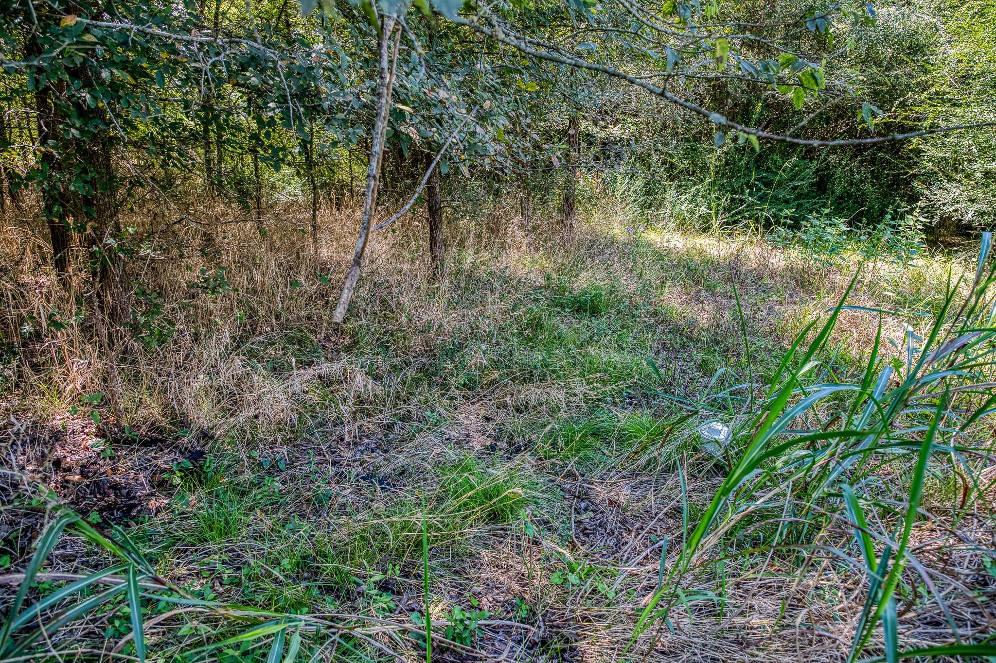 3208 W State Highway 21 Highway, Bryan, TX 77803