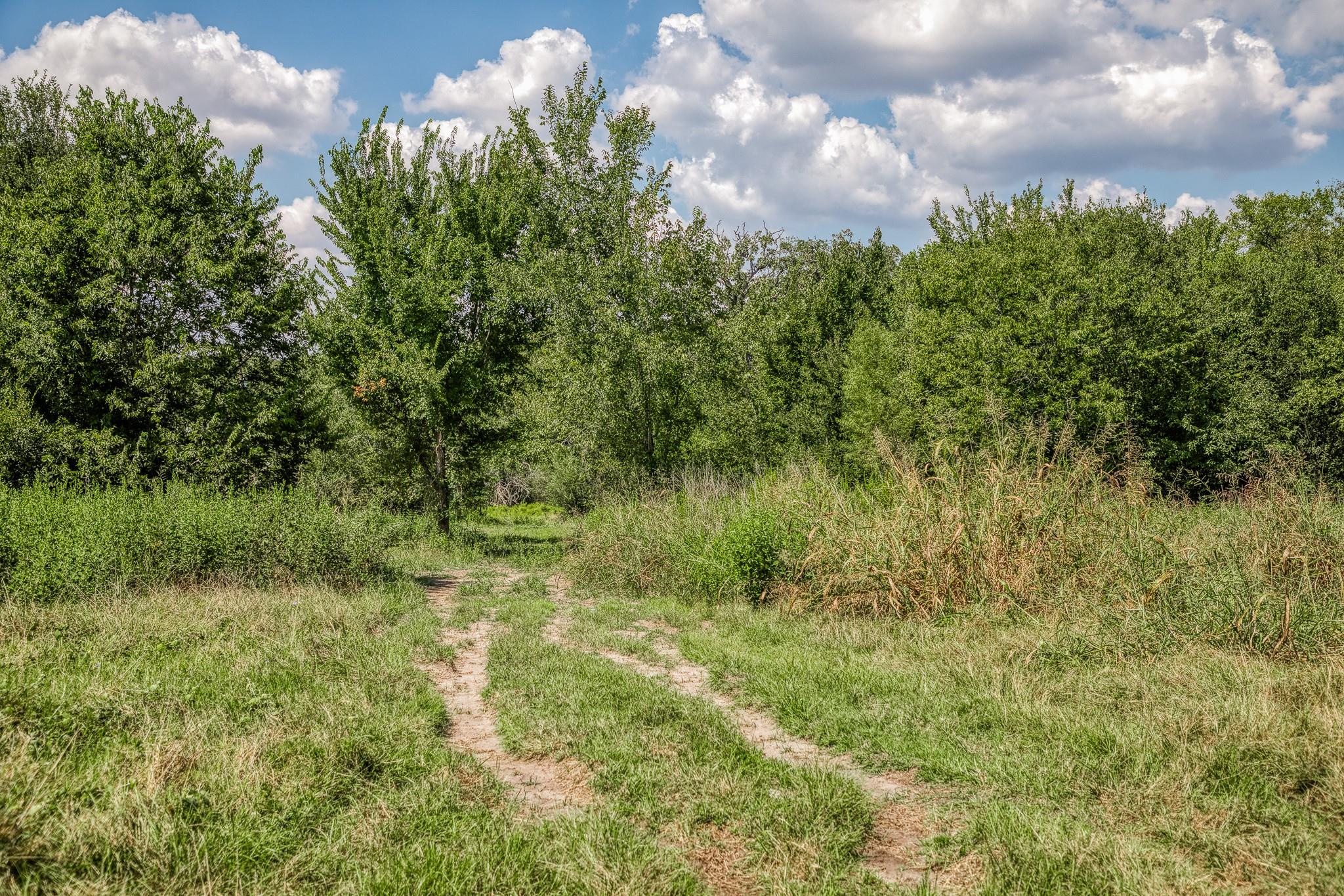 3208 W State Highway 21 Highway, Bryan, TX 77803