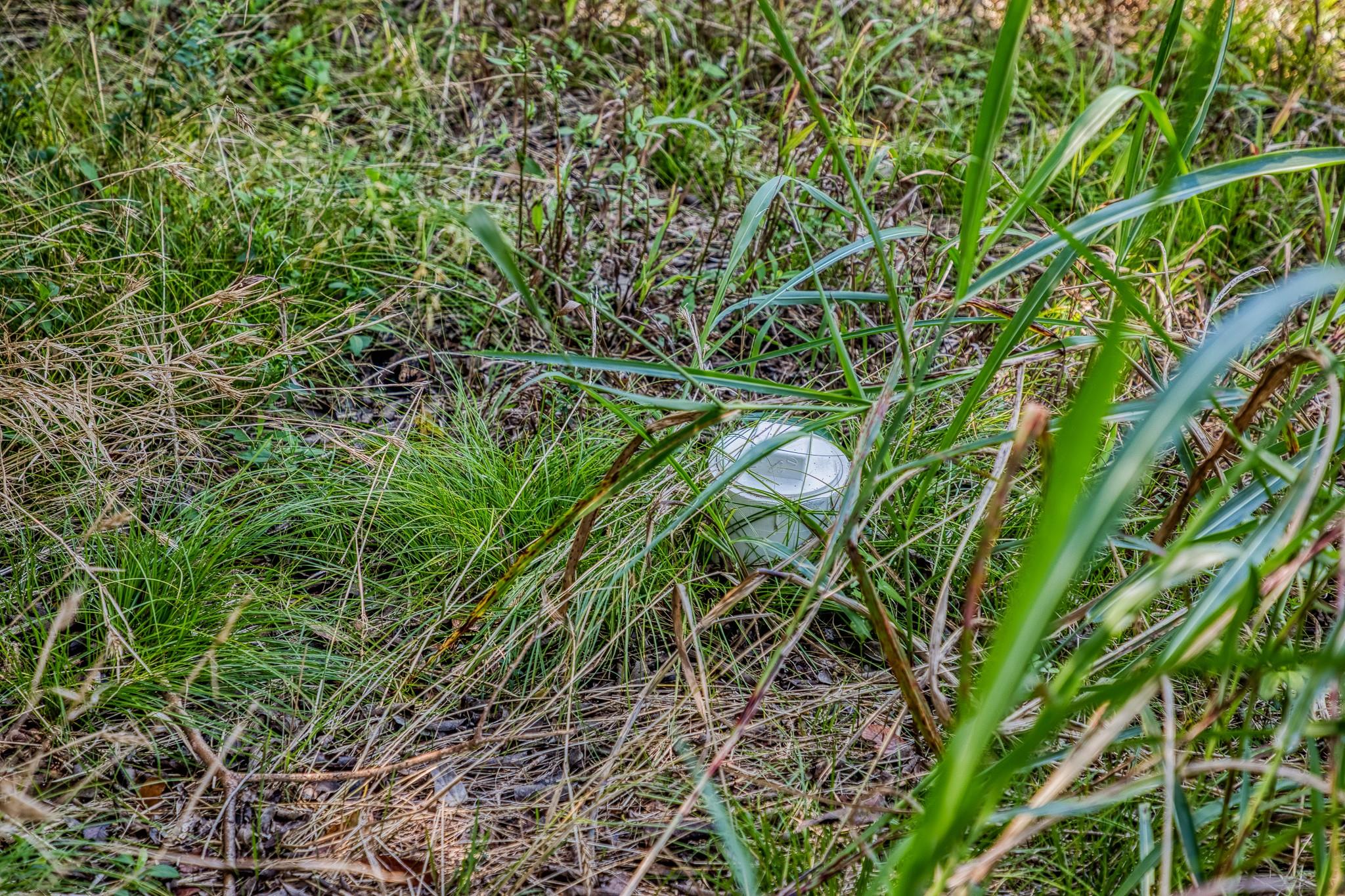 3208 W State Highway 21 Highway, Bryan, TX 77803